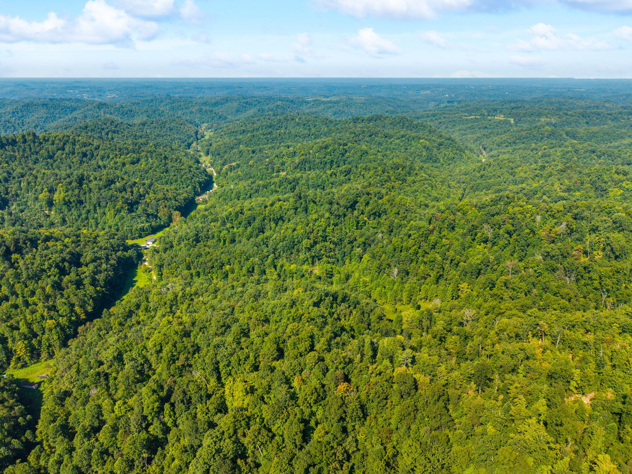 1222 Caney Fork Road Property Photo 15