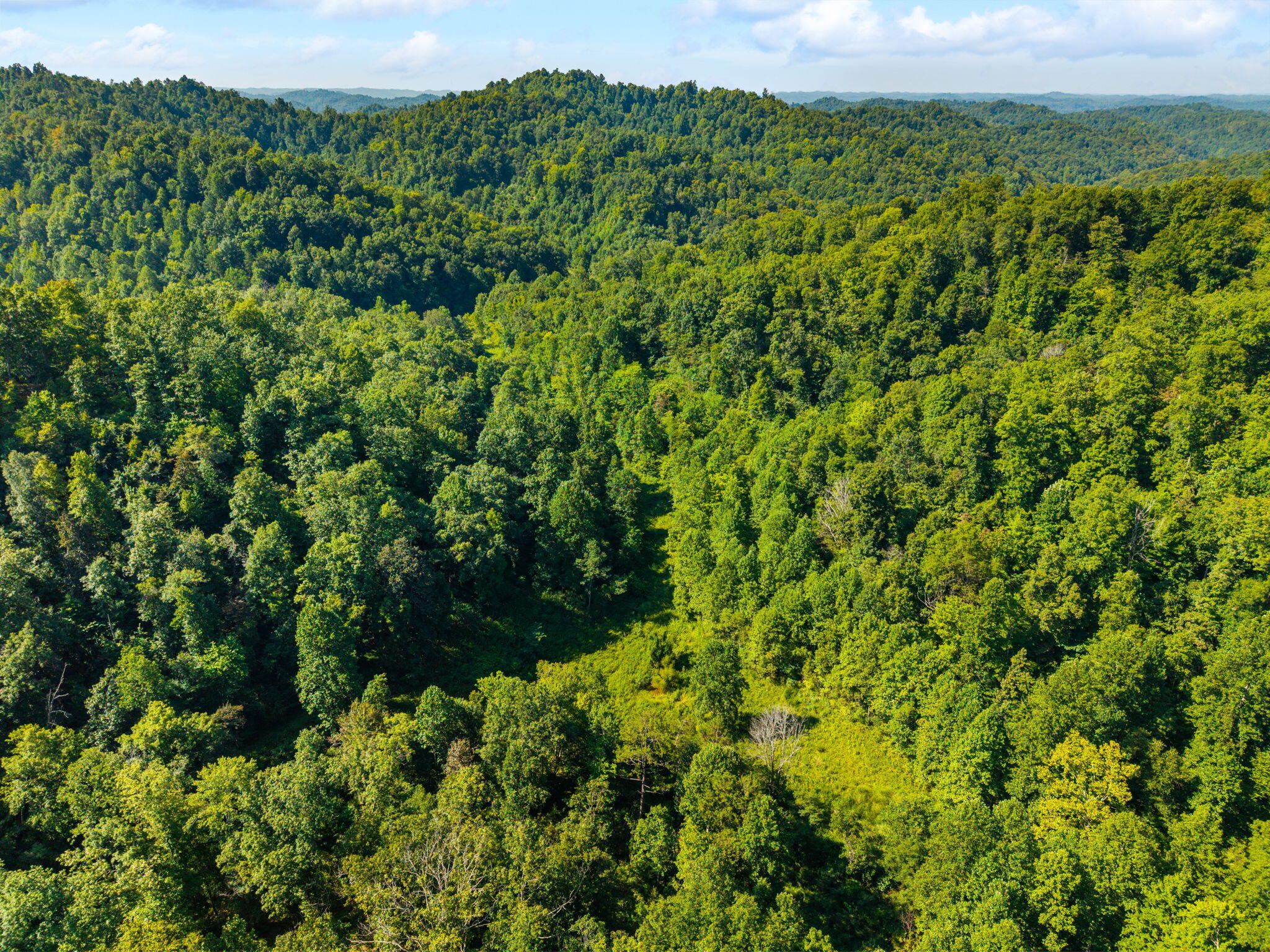 1222 Caney Fork Road Property Photo 16