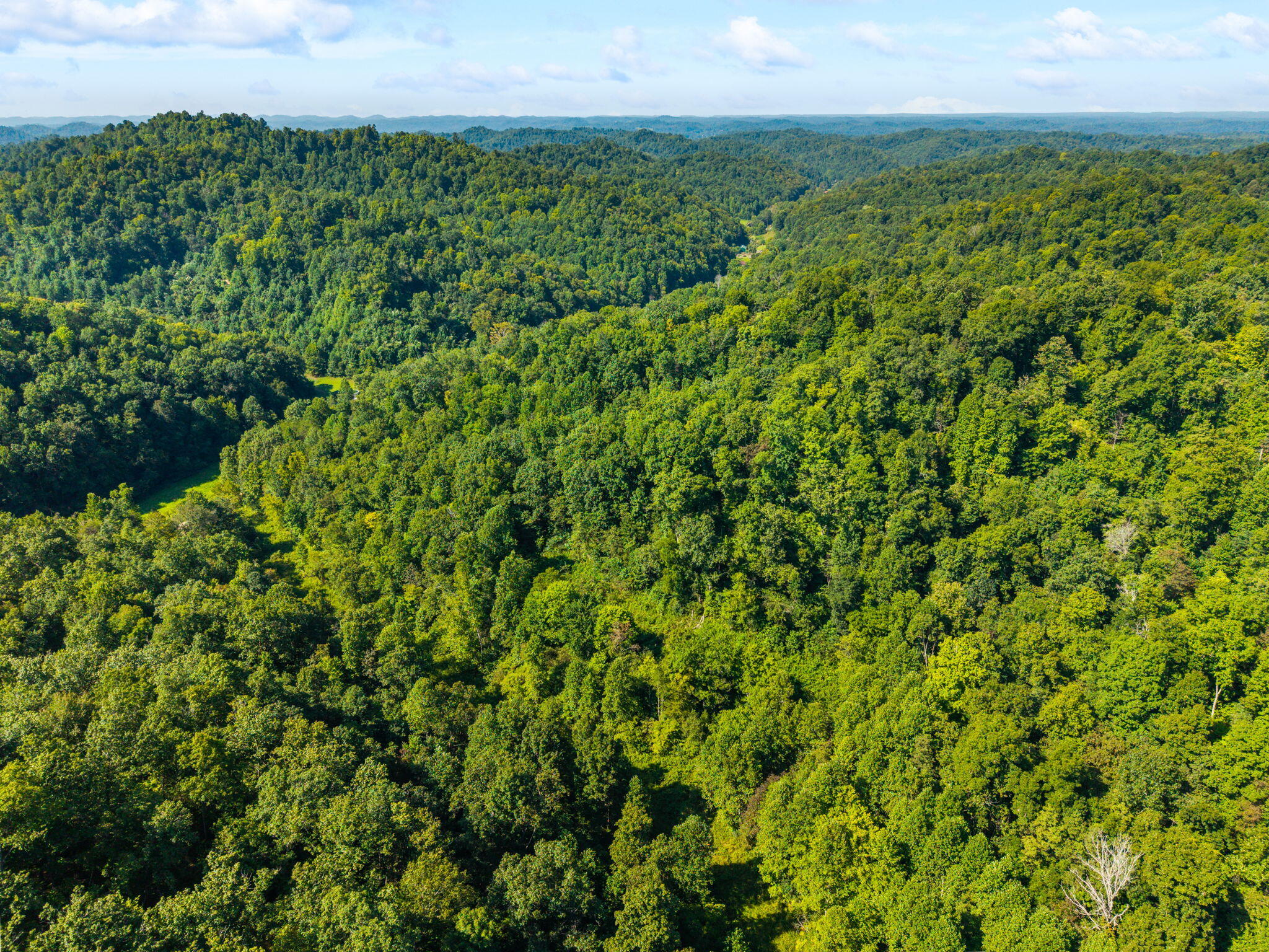 1222 Caney Fork Road Property Photo 17