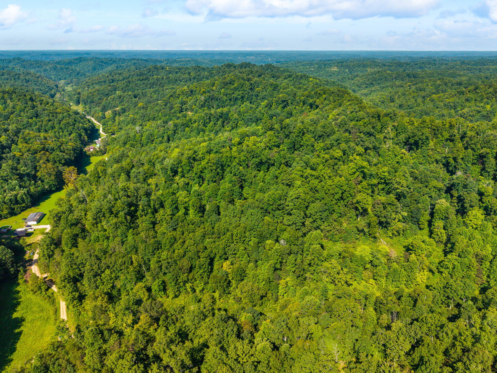 1222 Caney Fork Road Property Photo 18