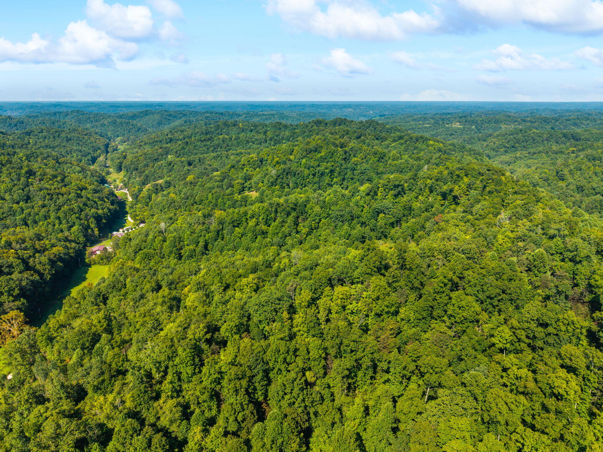 1222 Caney Fork Road Property Photo 19