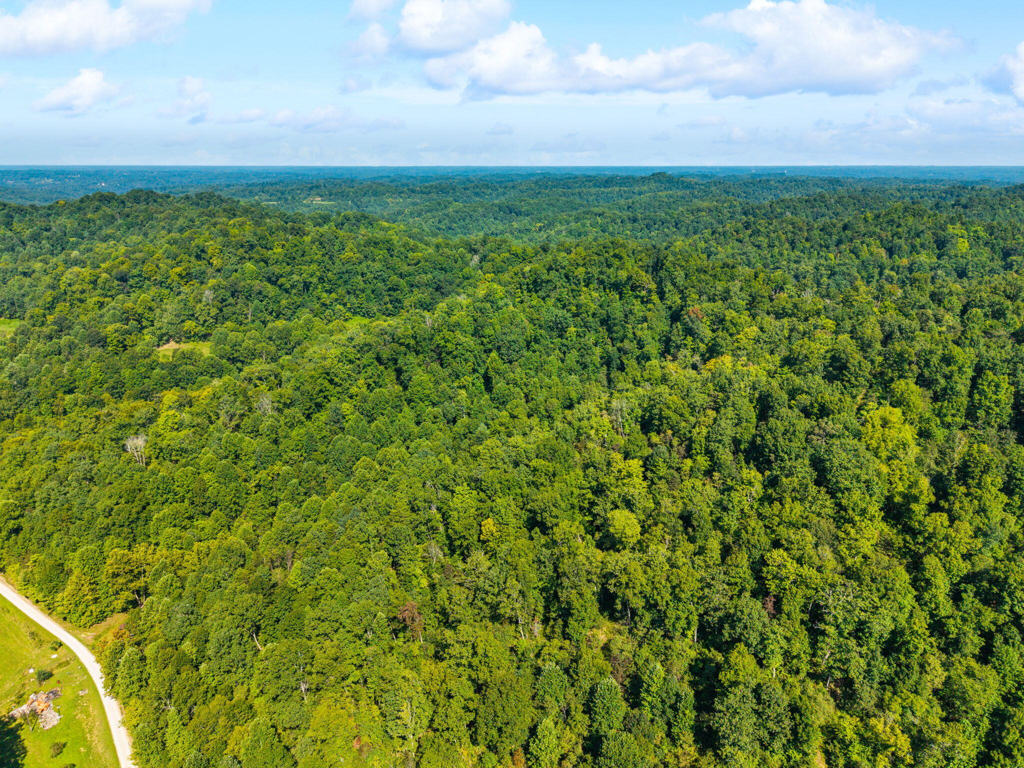 1222 Caney Fork Road Property Photo 20