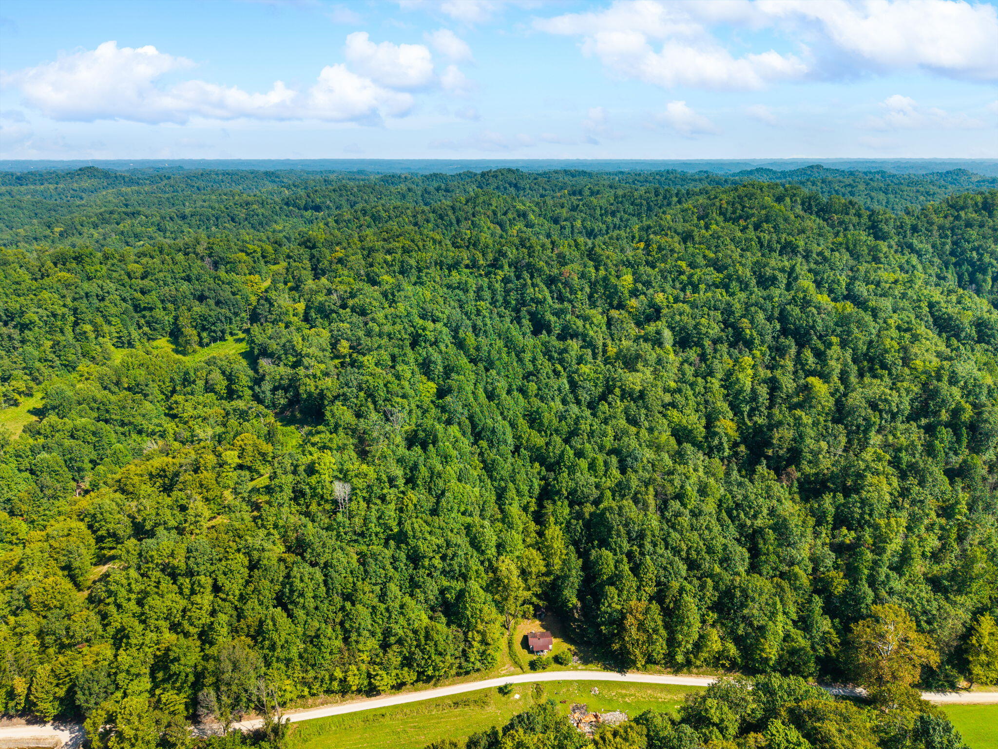 1222 Caney Fork Road Property Photo 21