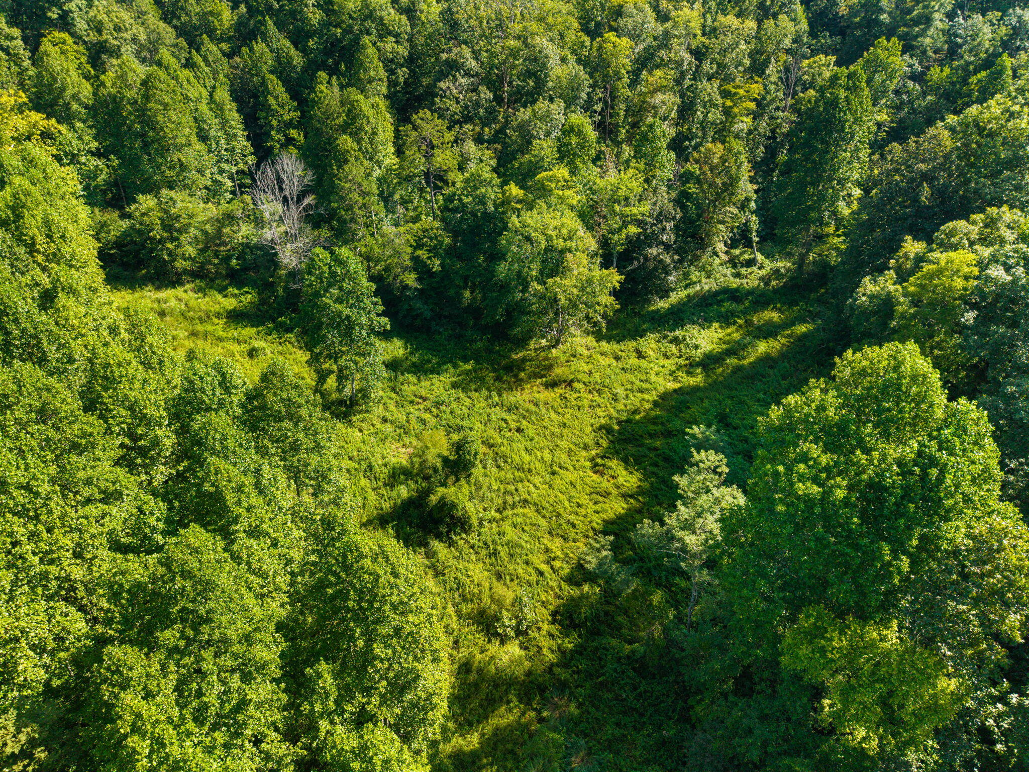 1222 Caney Fork Road Property Photo 24