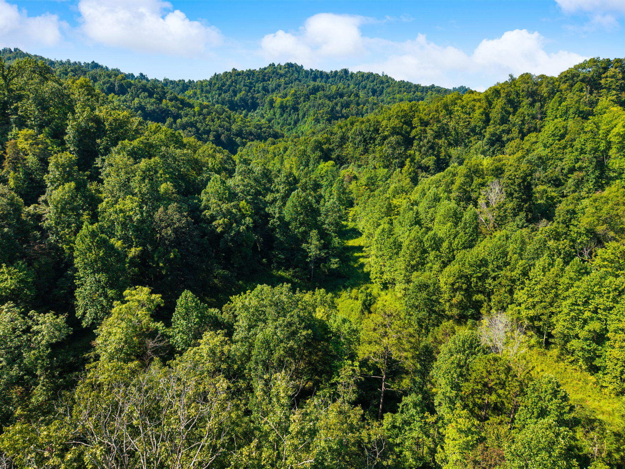 1222 Caney Fork Road Property Photo 25