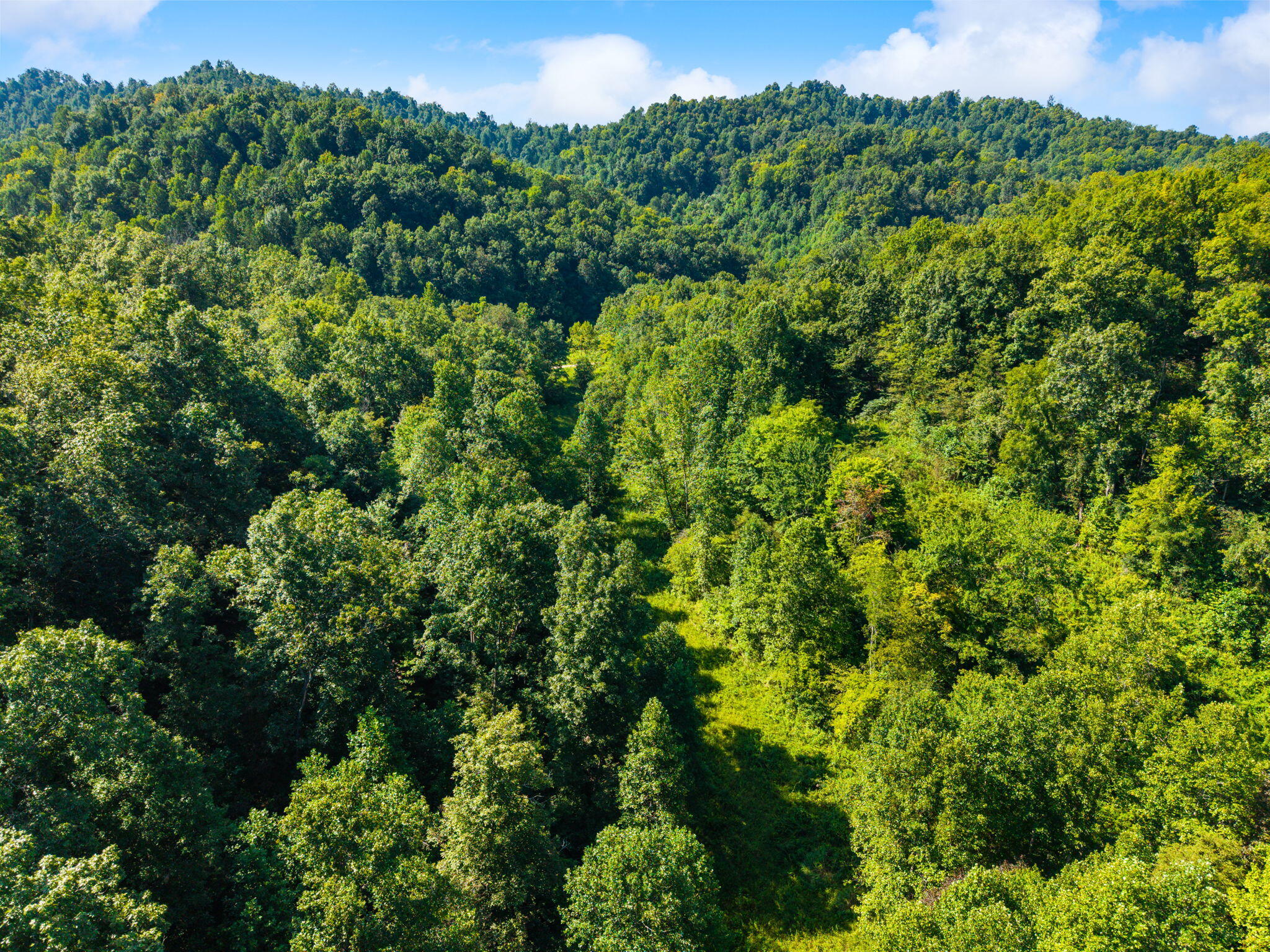 1222 Caney Fork Road Property Photo 26