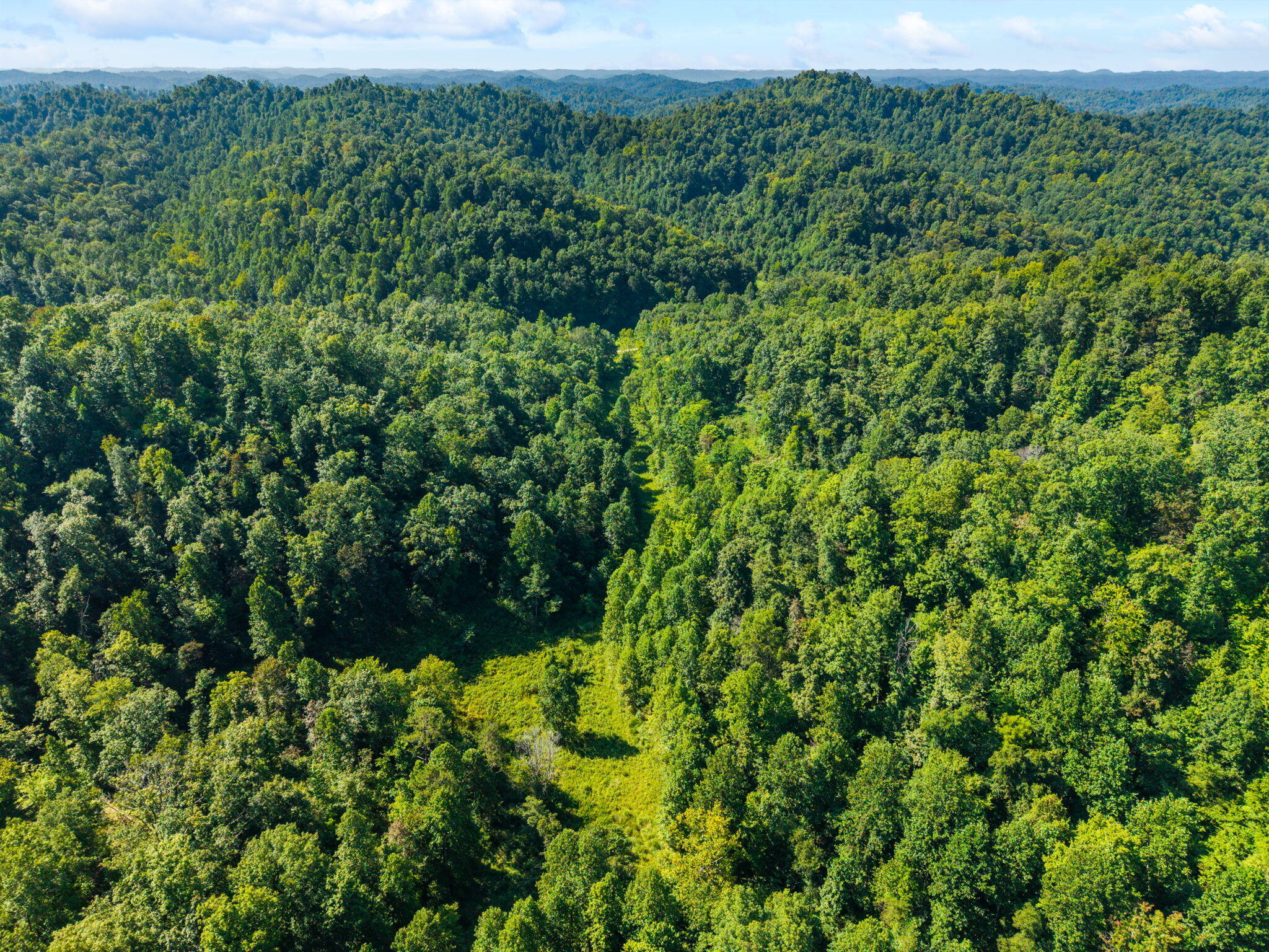 1222 Caney Fork Road Property Photo 27