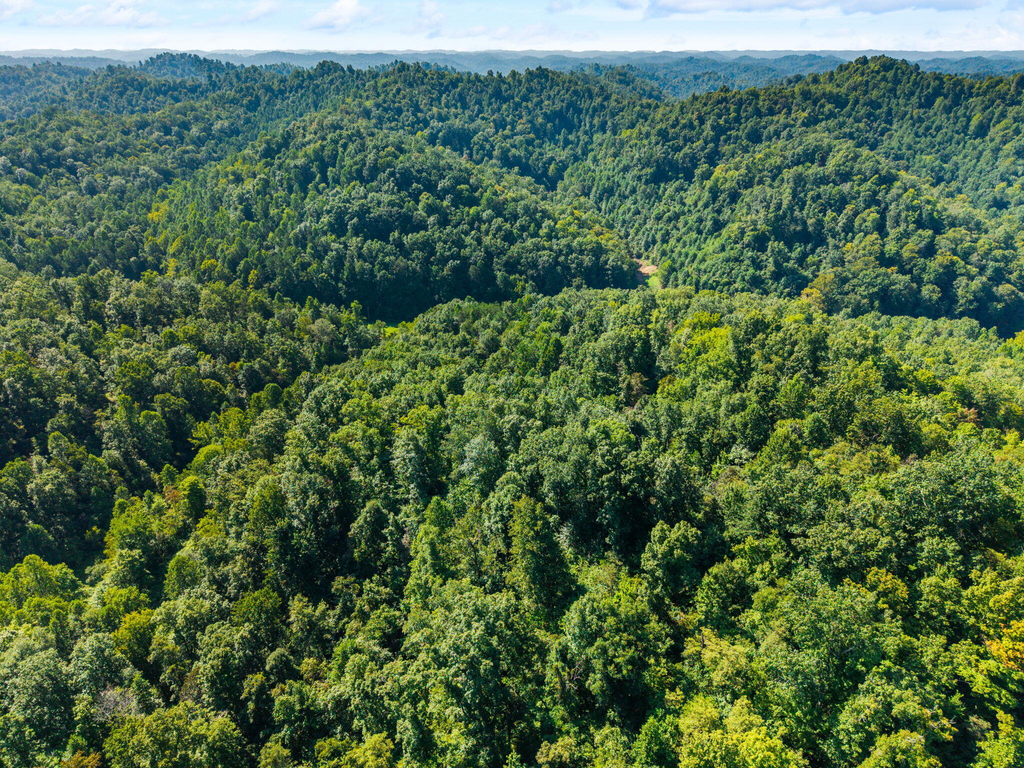 1222 Caney Fork Road Property Photo 28