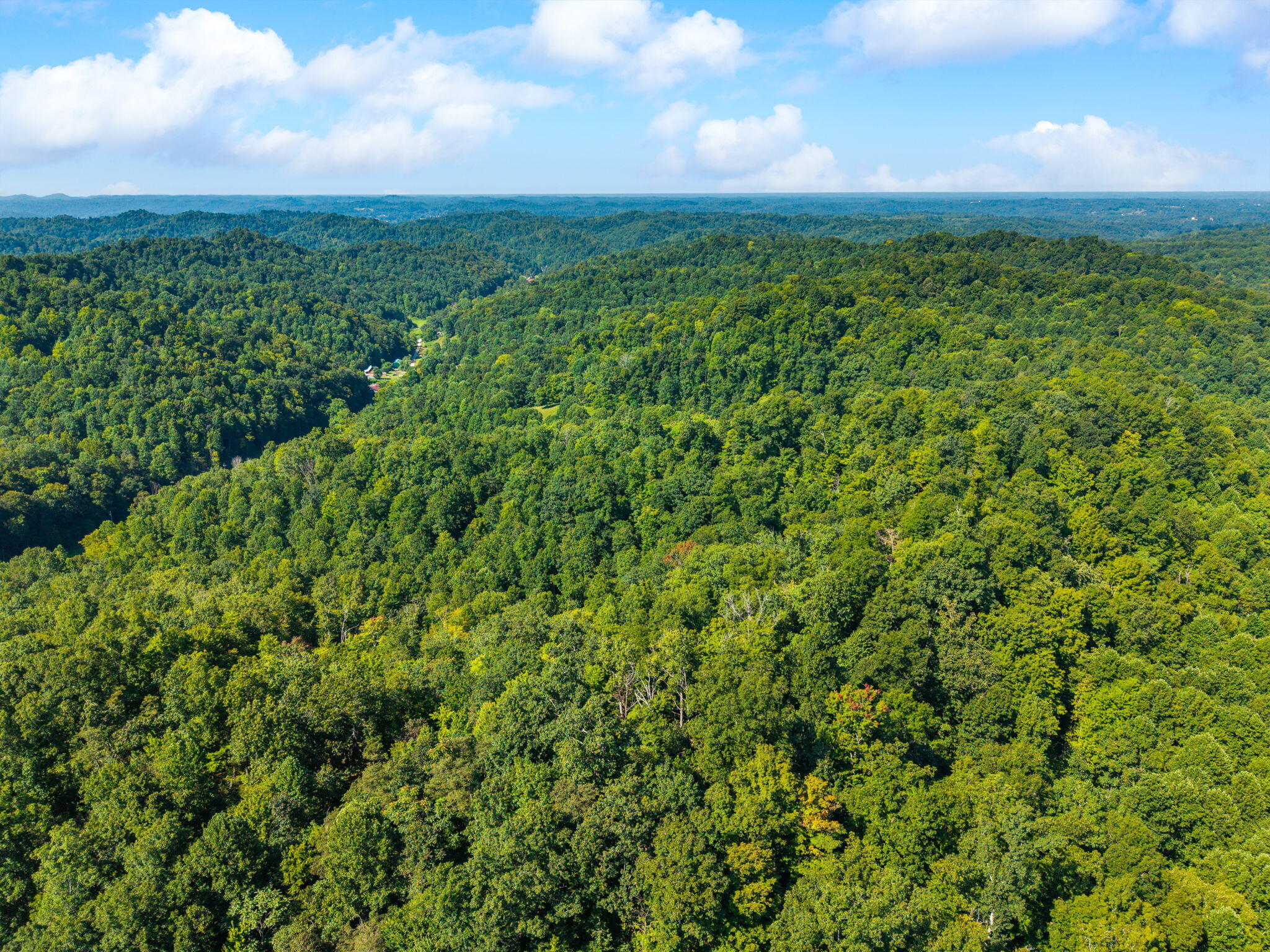 1222 Caney Fork Road Property Photo 29
