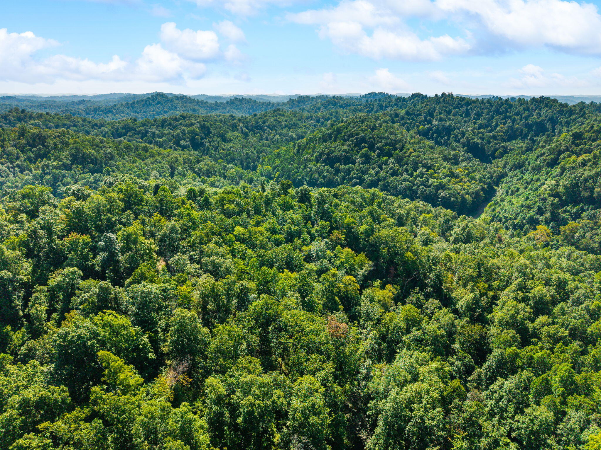 1222 Caney Fork Road Property Photo 30