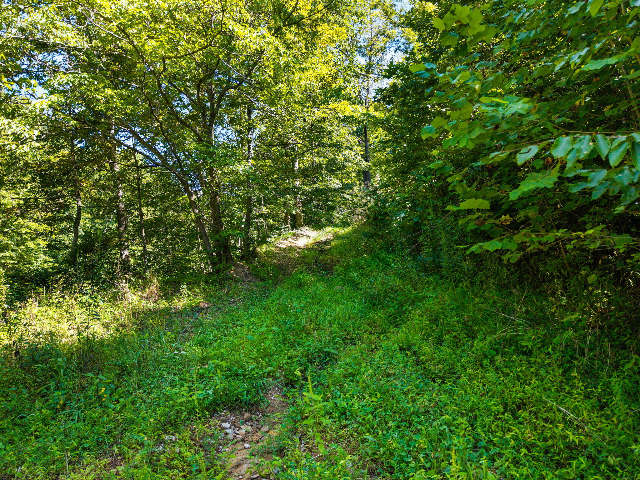 1222 Caney Fork Road Property Photo 31
