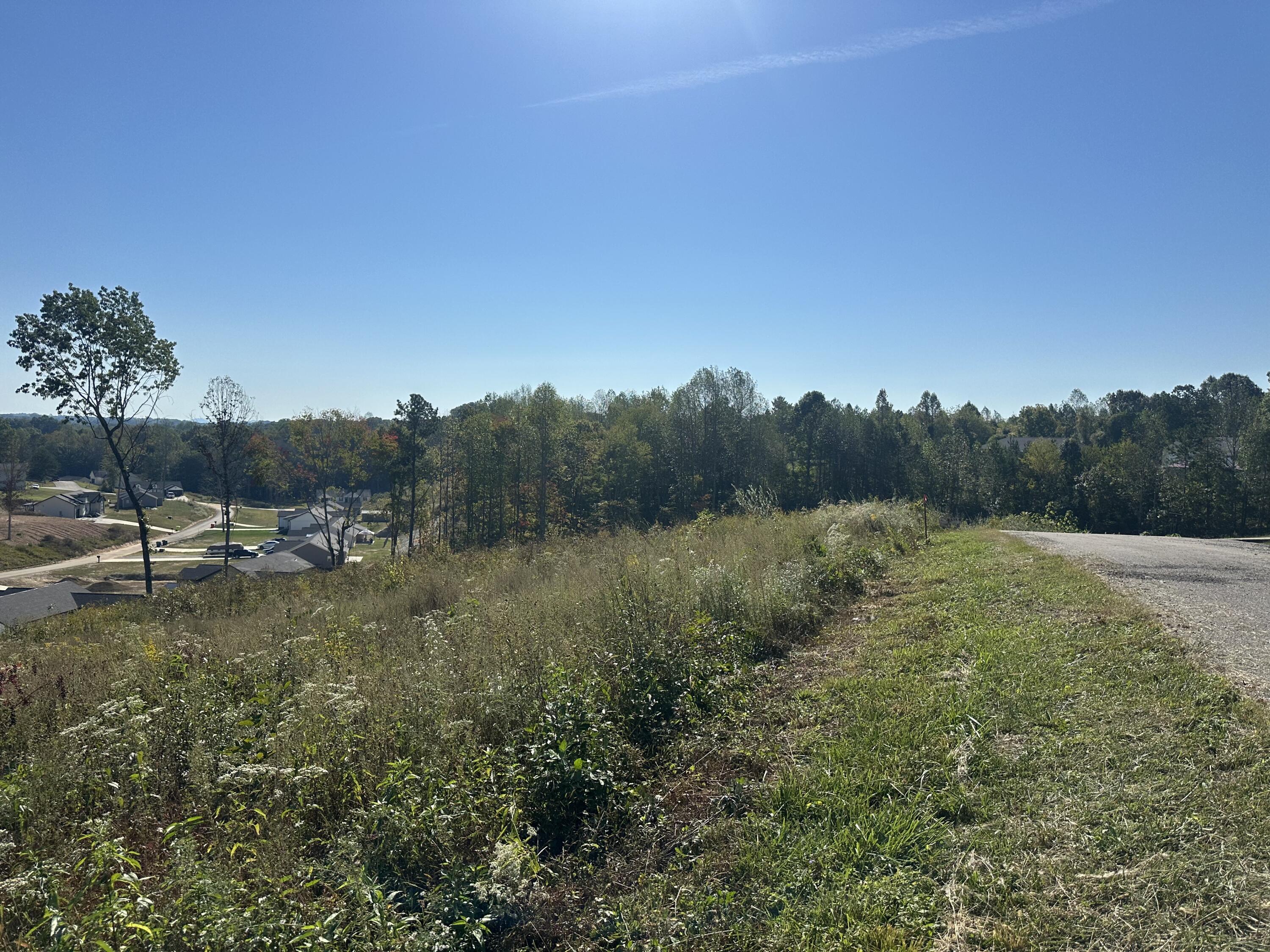 107 Rodeo Drive Lot 86 Property Photo 6