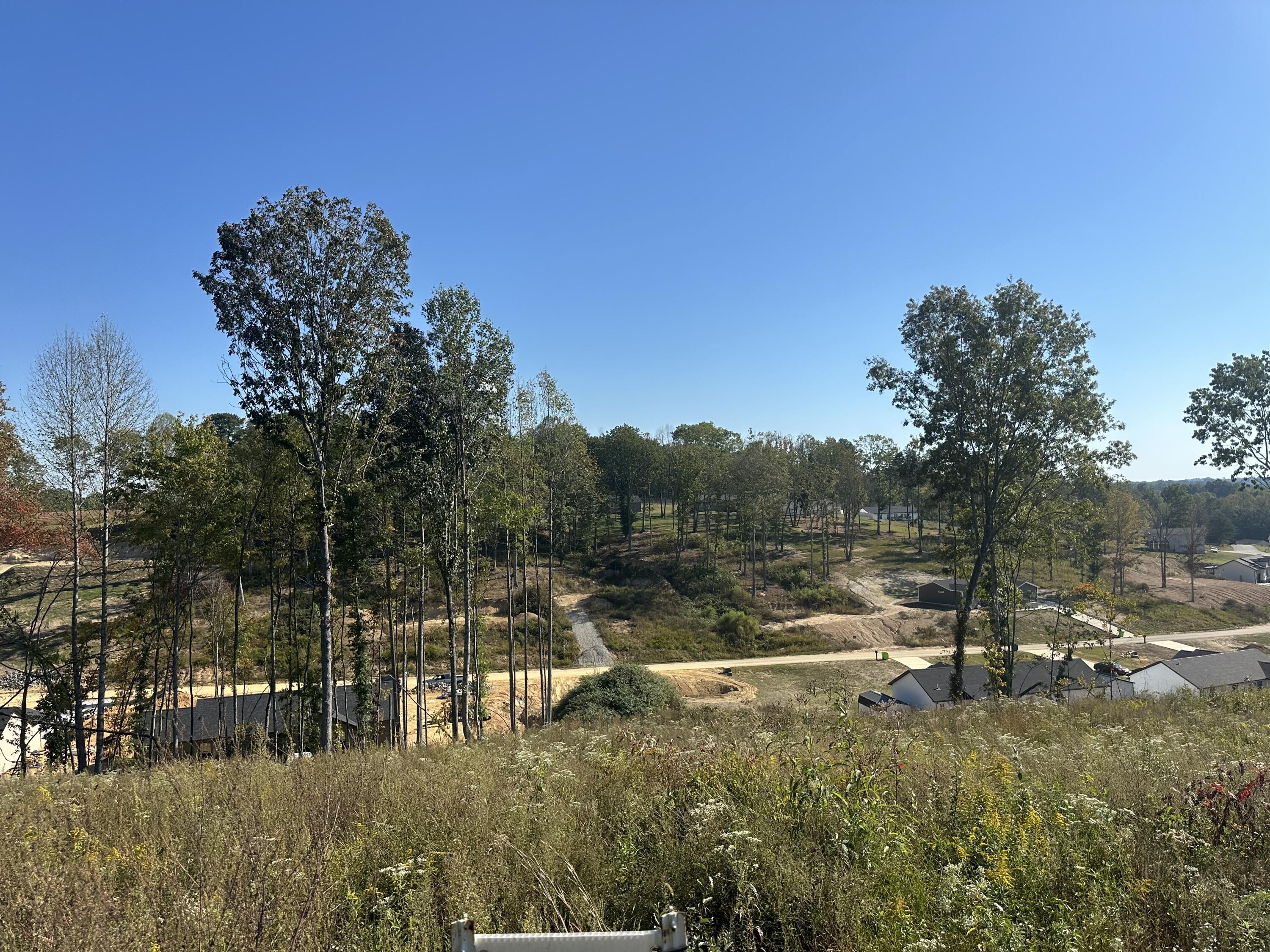 107 Rodeo Drive Lot 86 Property Photo 9