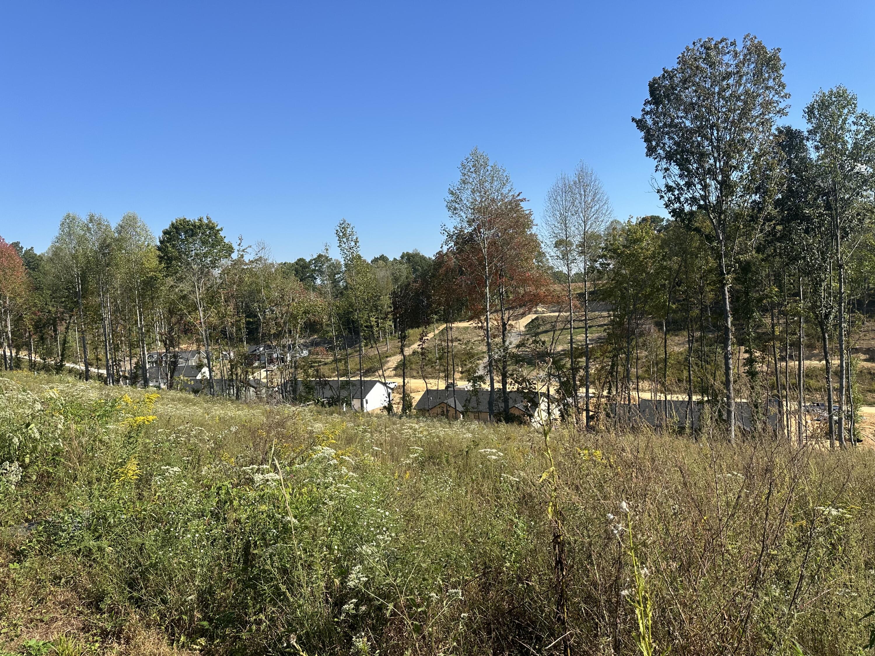107 Rodeo Drive Lot 86 Property Photo 10