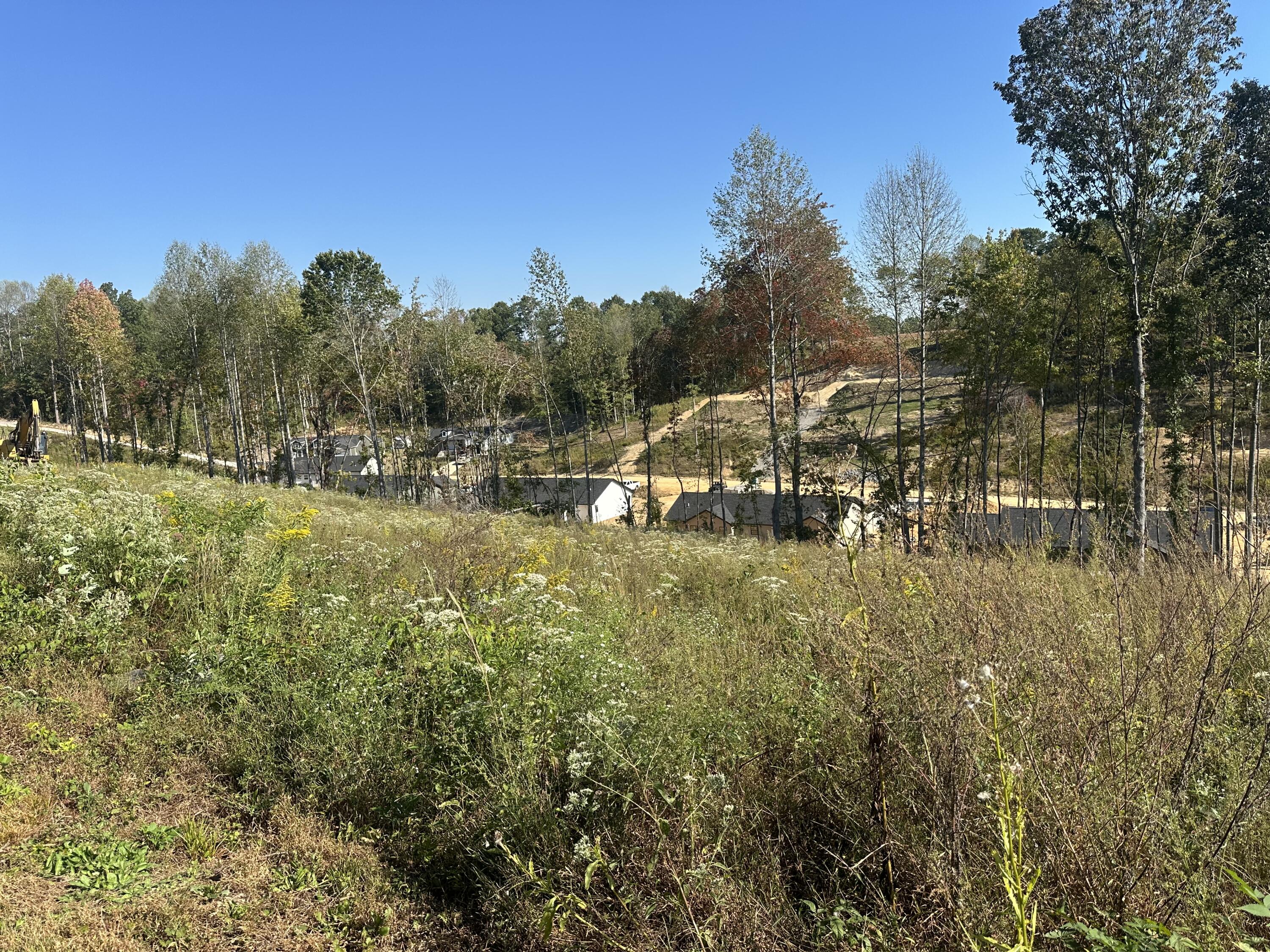 107 Rodeo Drive Lot 86 Property Photo 12