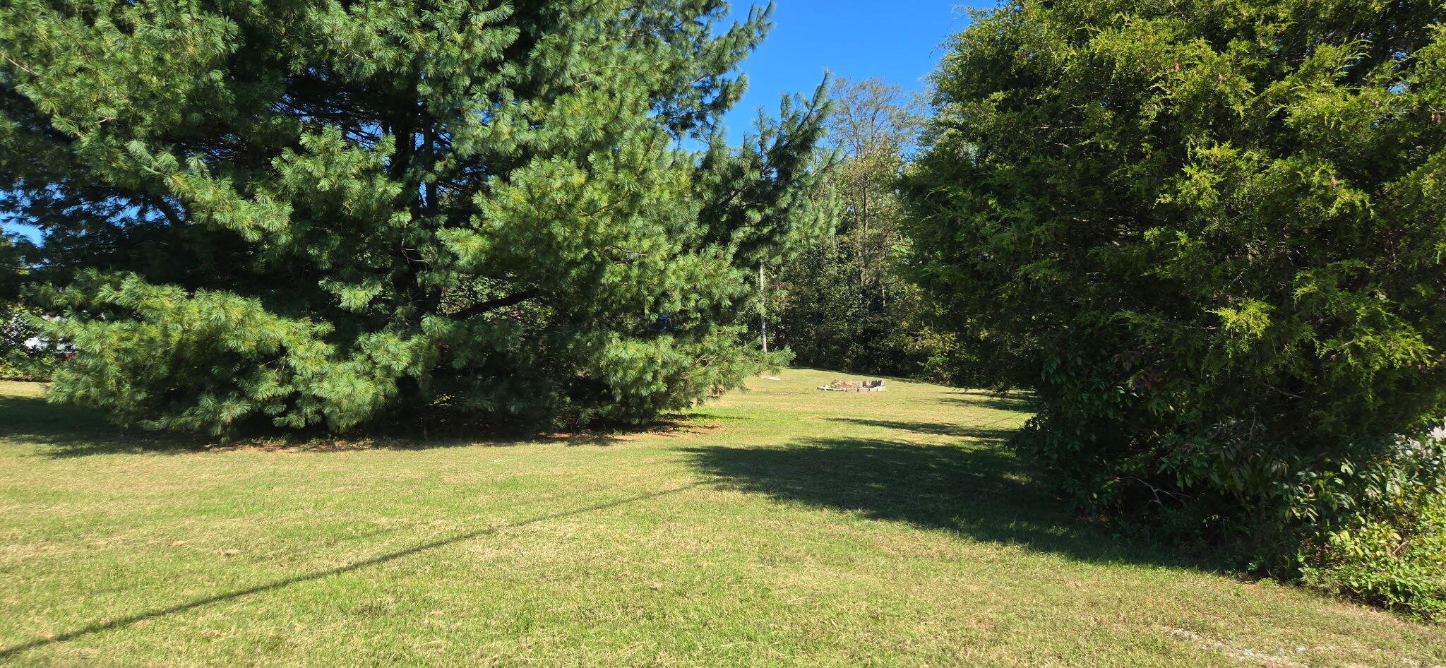 10578 W Hwy 80 Property Photo 31