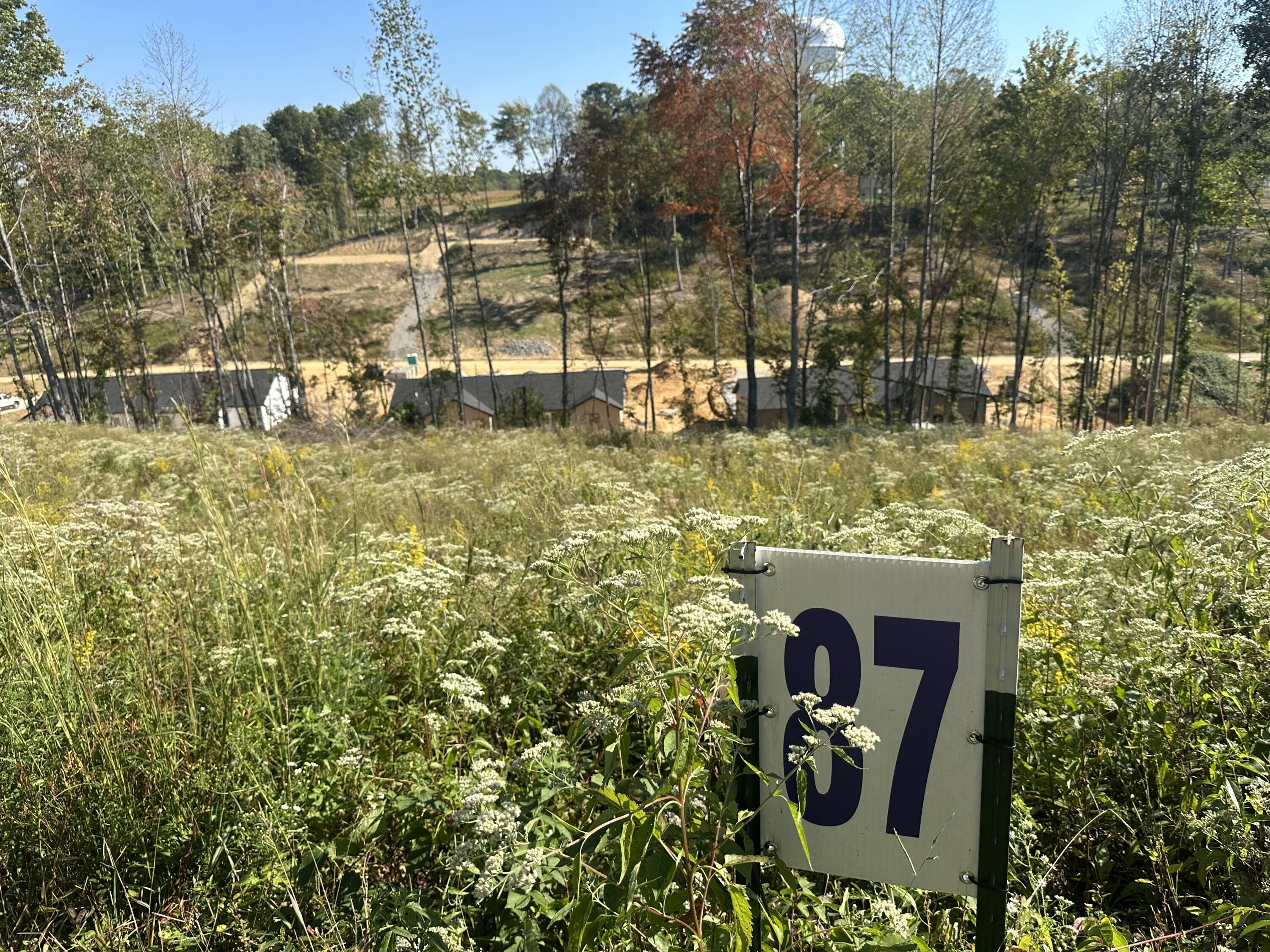139 Rodeo Drive Lot 87 Property Photo 1