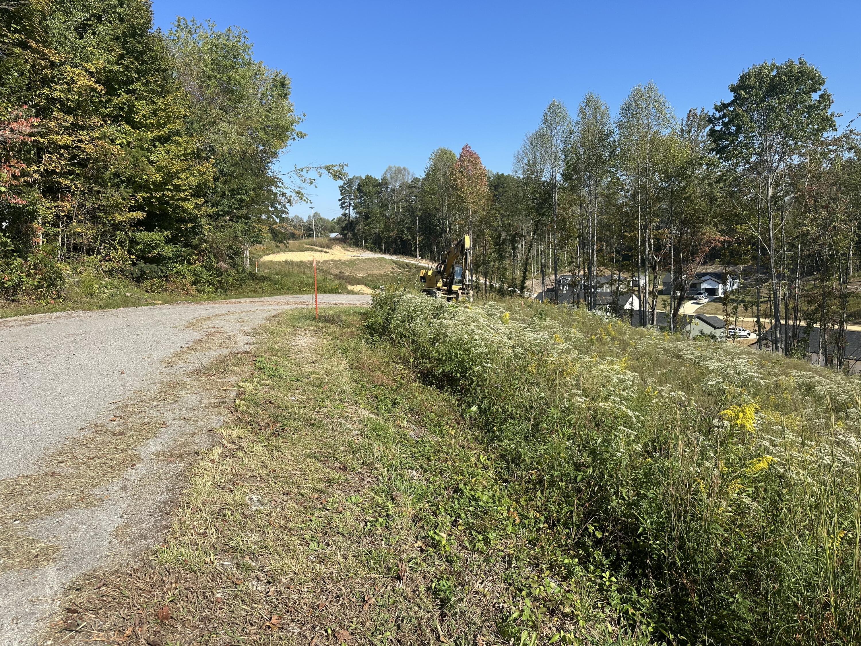 139 Rodeo Drive Lot 87 Property Photo 2