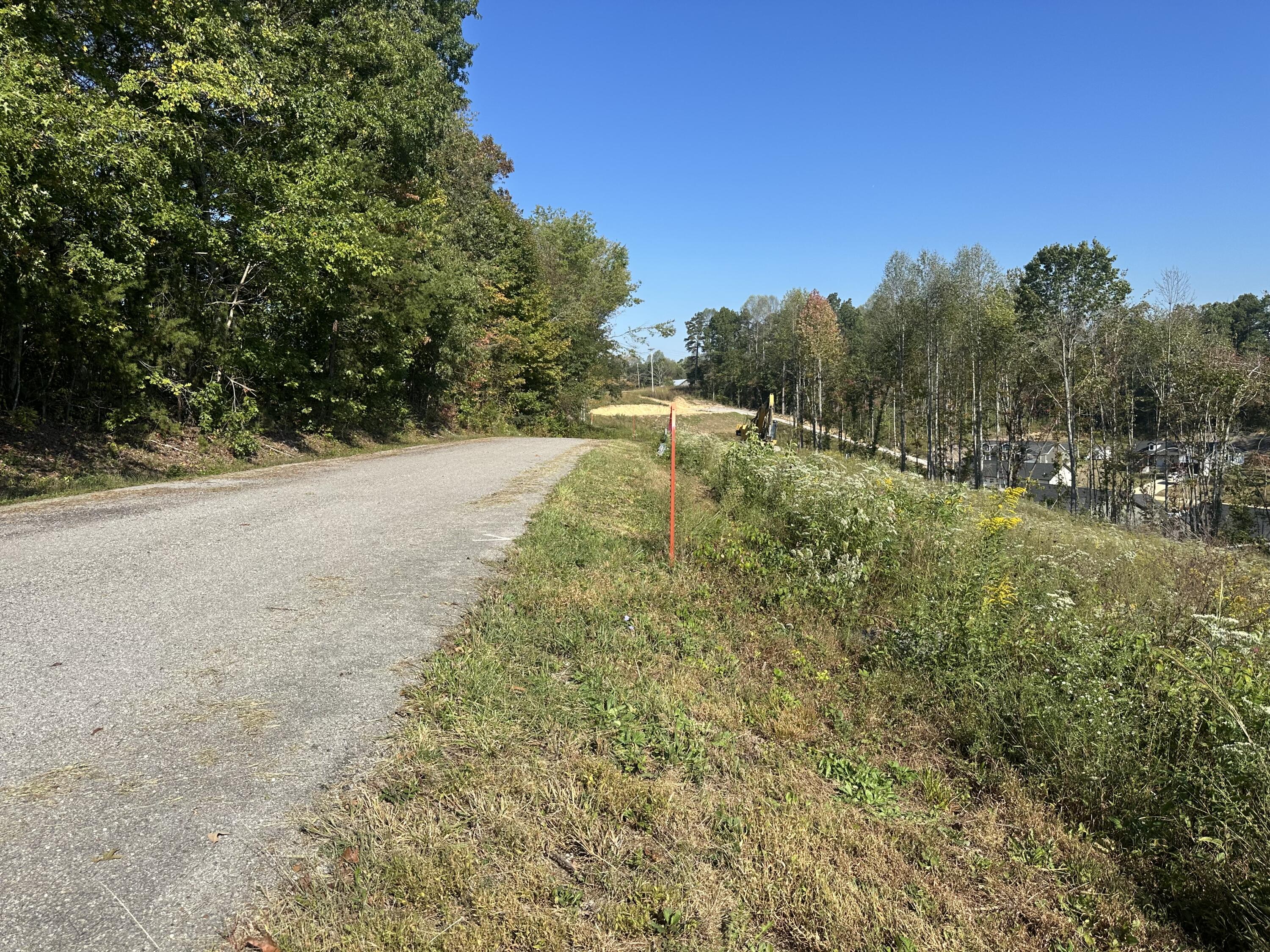 139 Rodeo Drive Lot 87 Property Photo 5