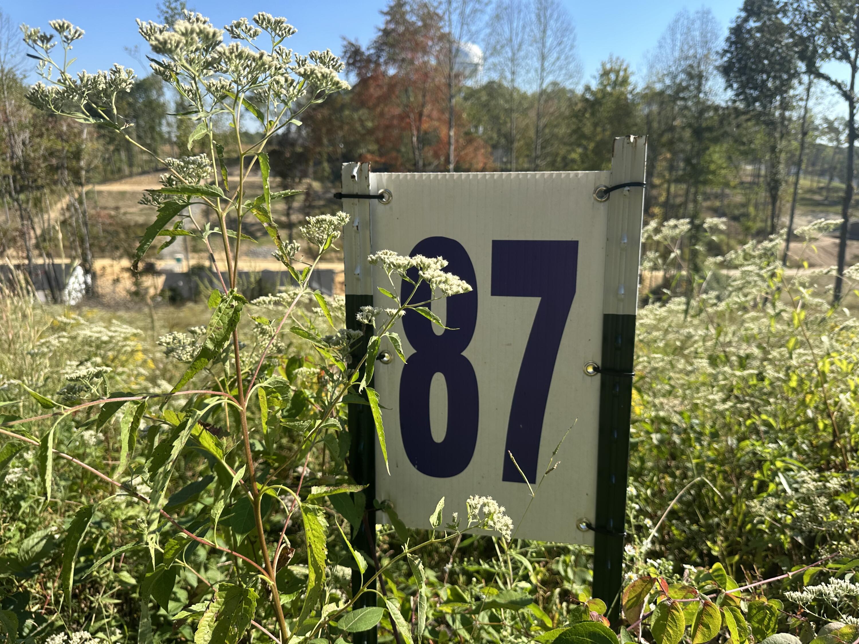 139 Rodeo Drive Lot 87 Property Photo 7
