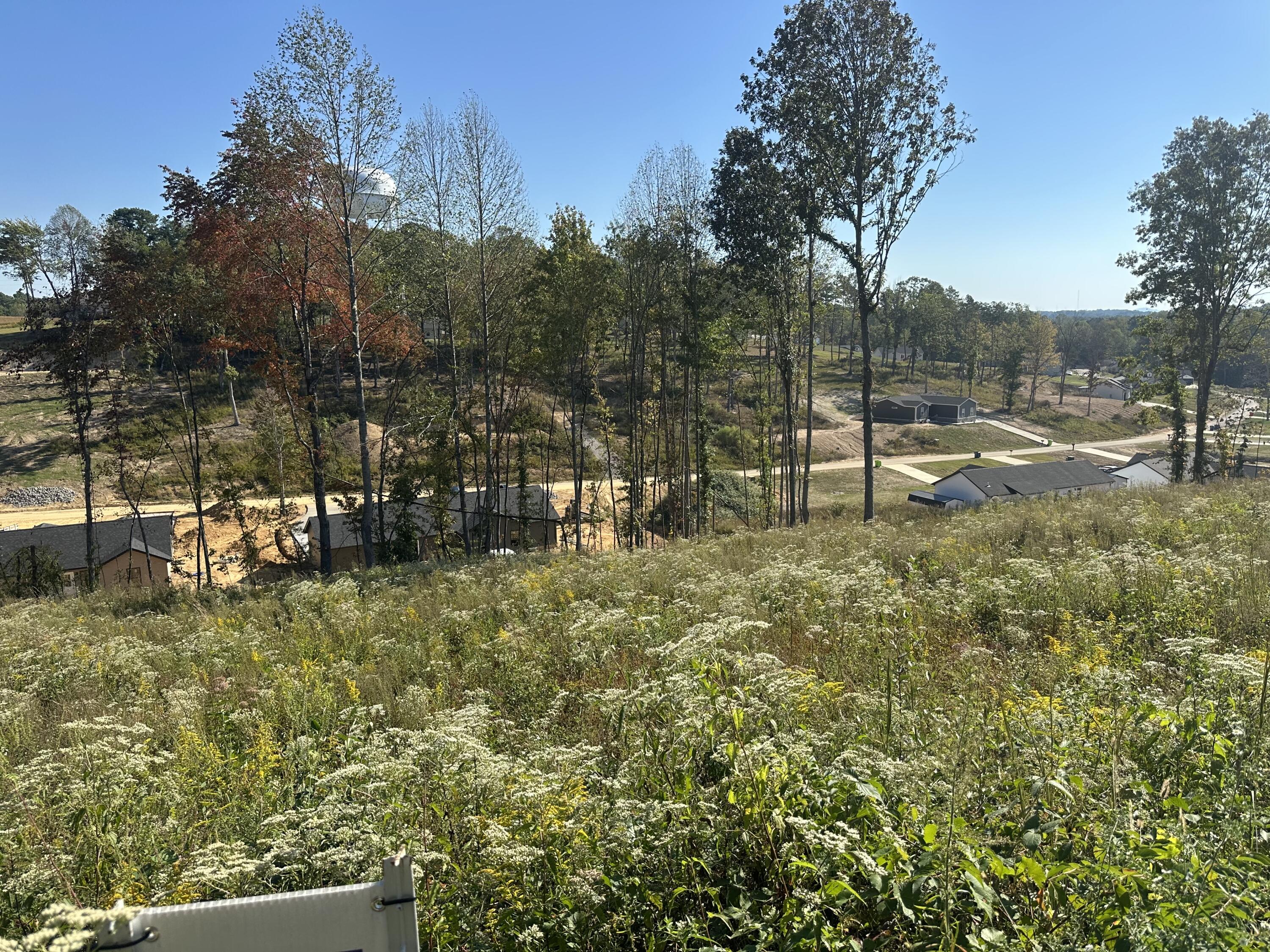139 Rodeo Drive Lot 87 Property Photo 9