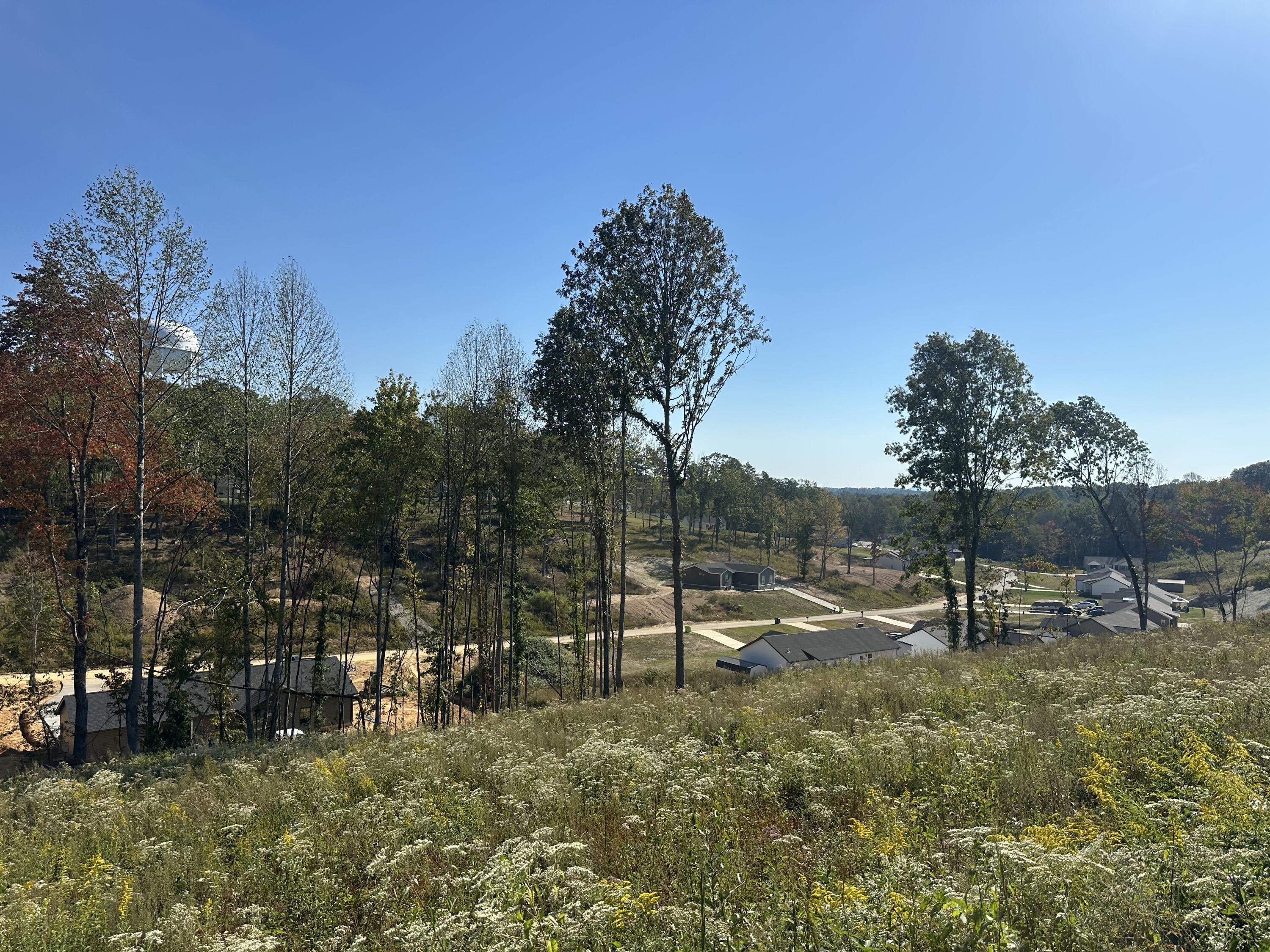 139 Rodeo Drive Lot 87 Property Photo 10