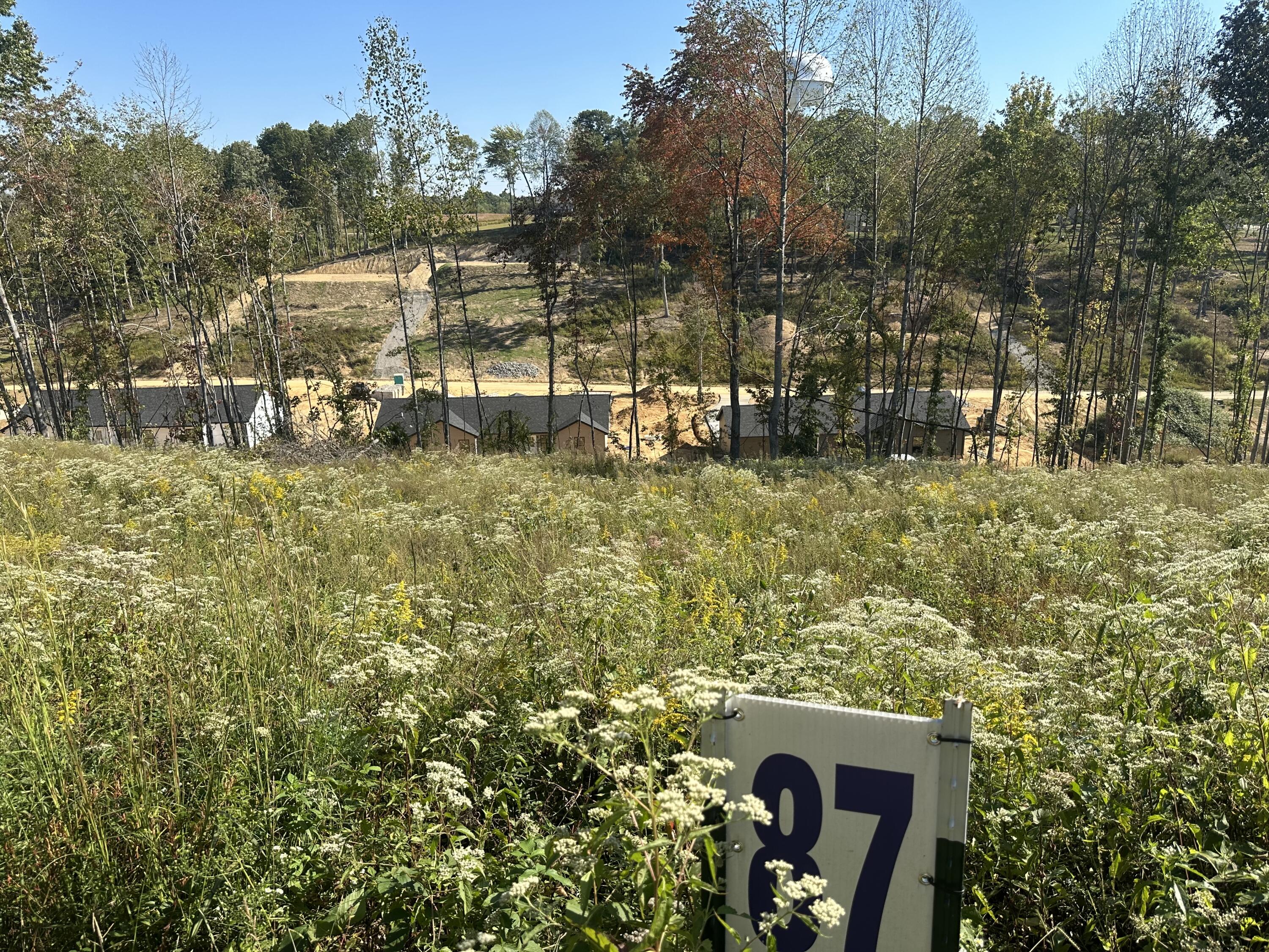139 Rodeo Drive Lot 87 Property Photo 11