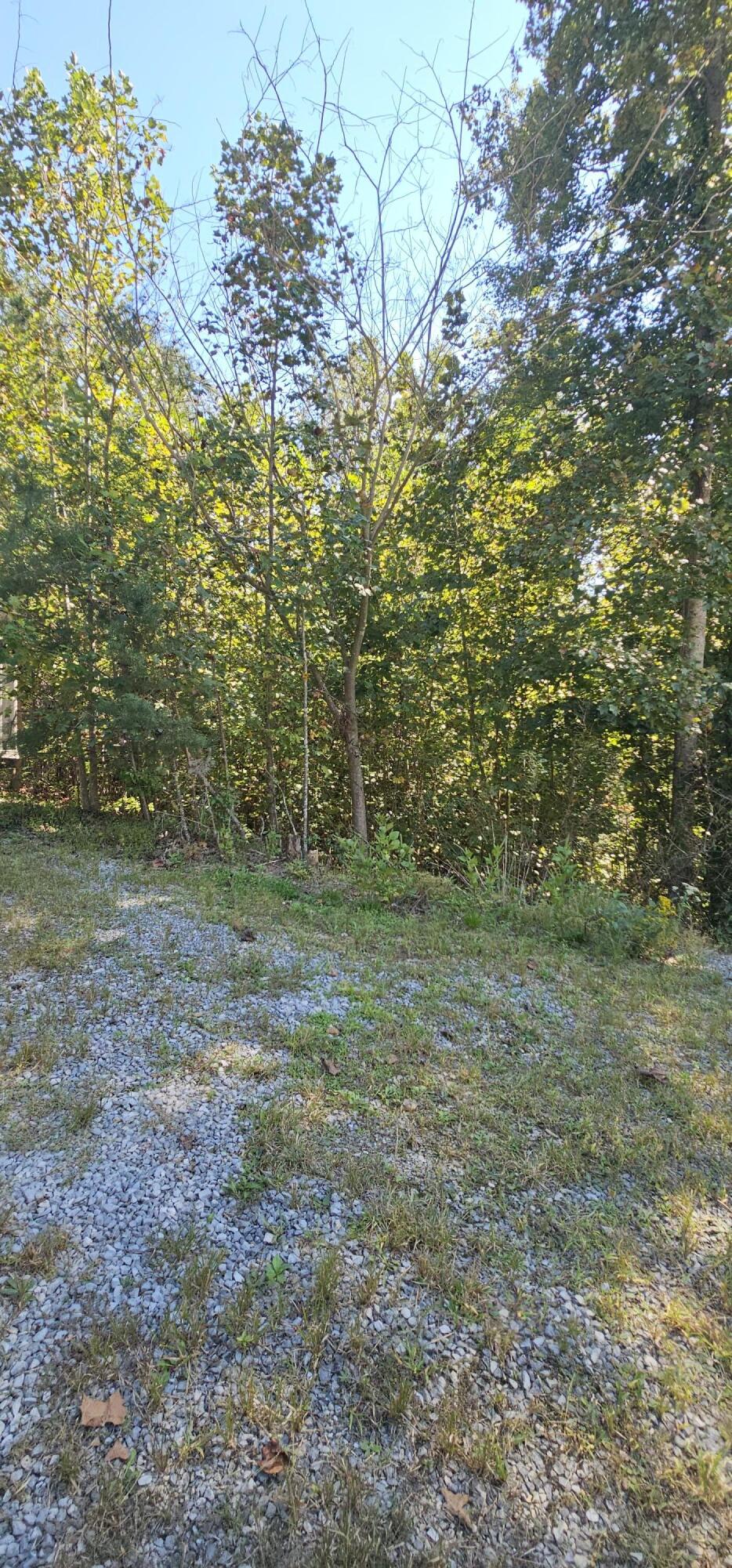 362 Dixie Pine Drive Property Photo 29