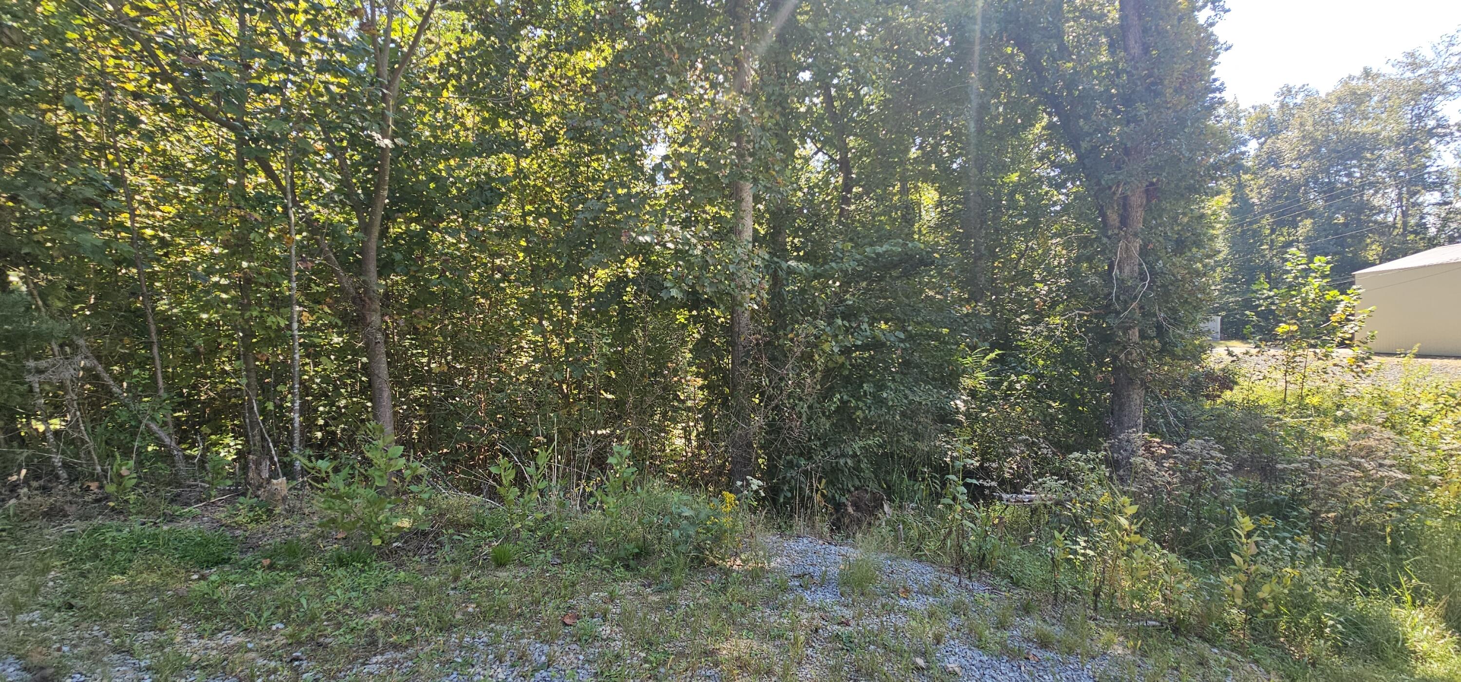 362 Dixie Pine Drive Property Photo 31