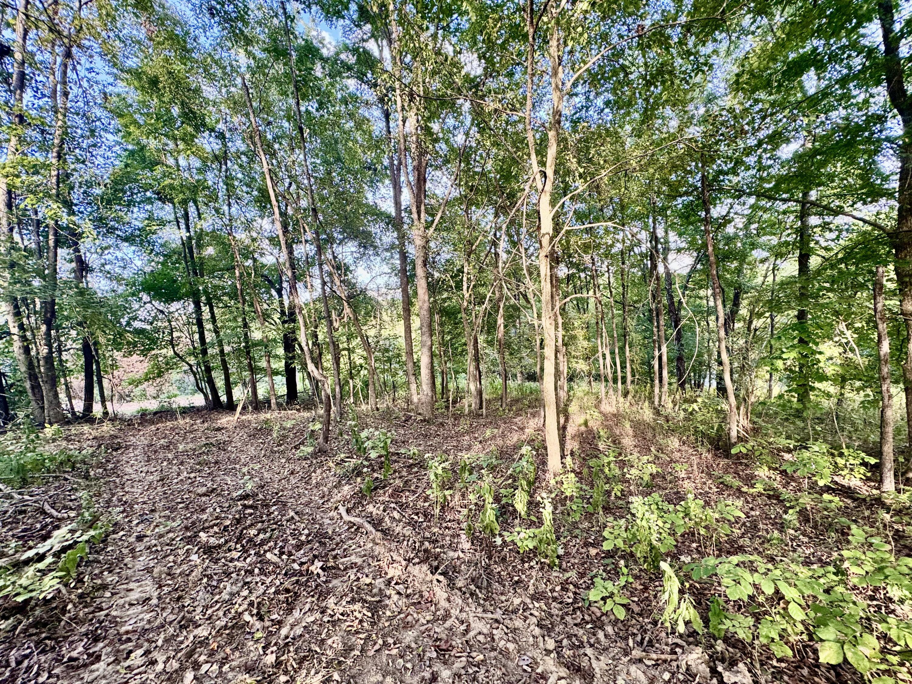 314 Bear Run Road Property Photo 4