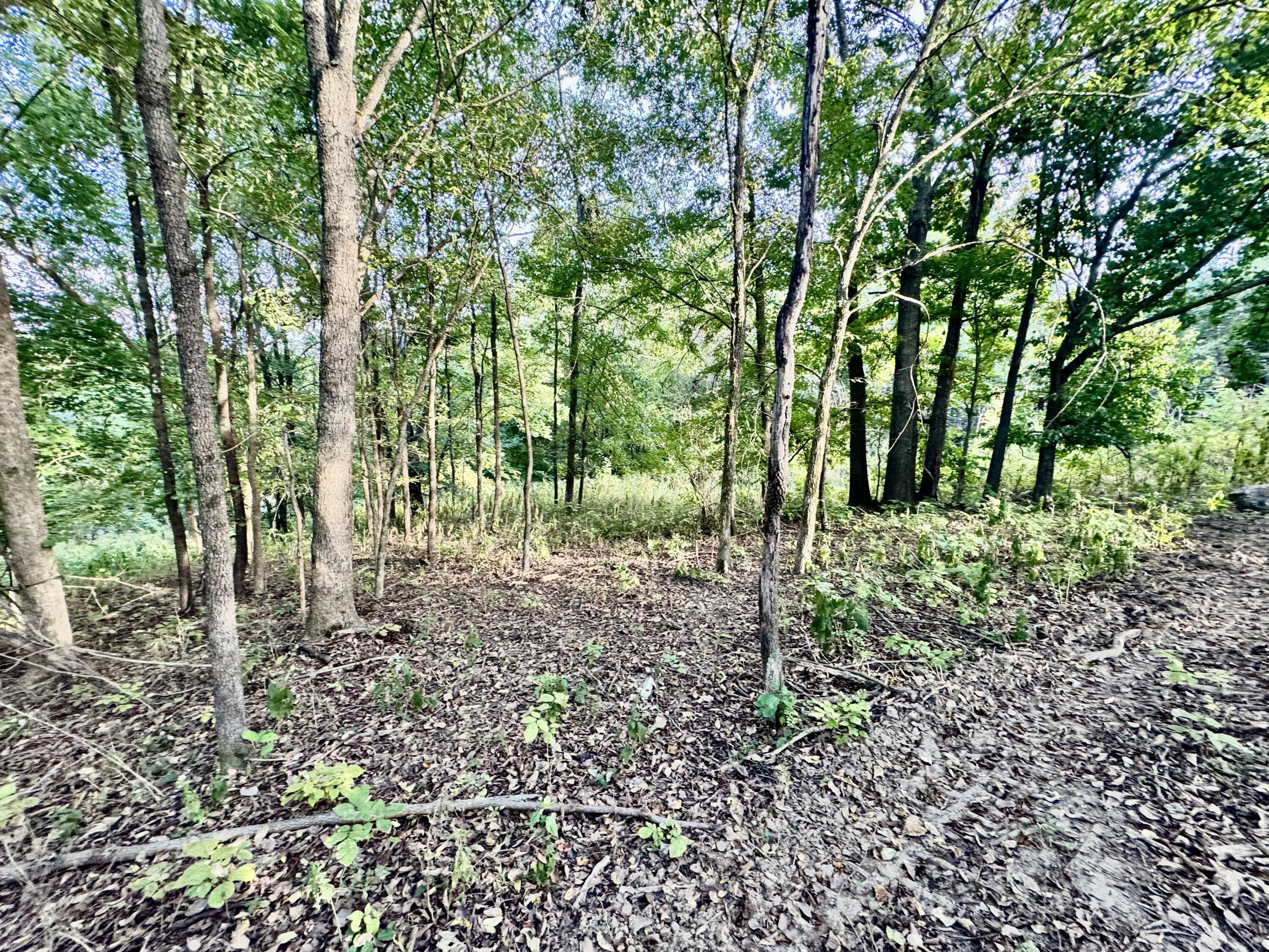 314 Bear Run Road Property Photo 8