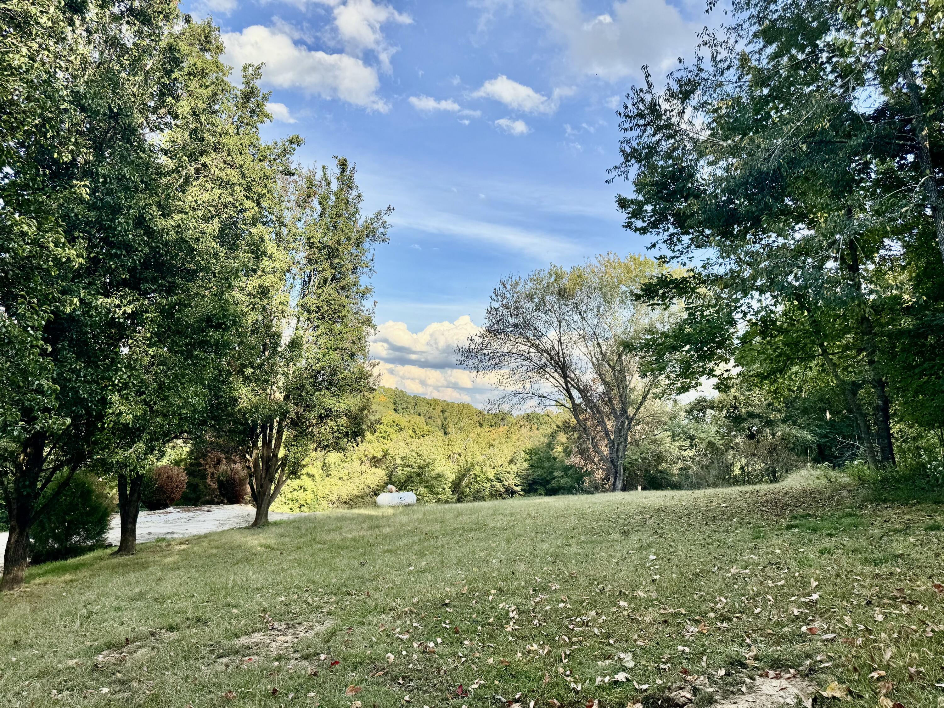 314 Bear Run Road Property Photo 10
