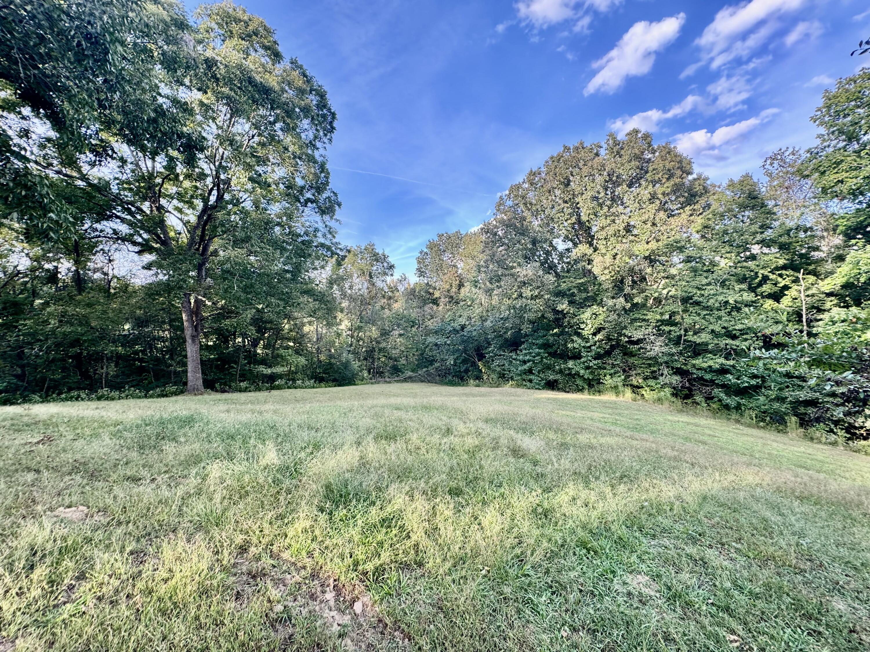 314 Bear Run Road Property Photo 11