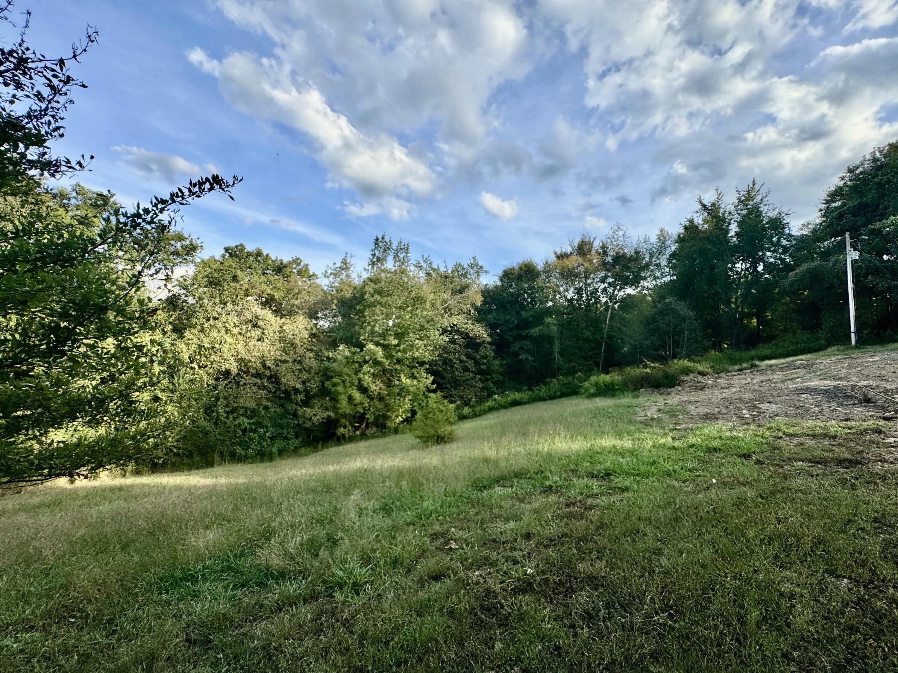314 Bear Run Road Property Photo 17