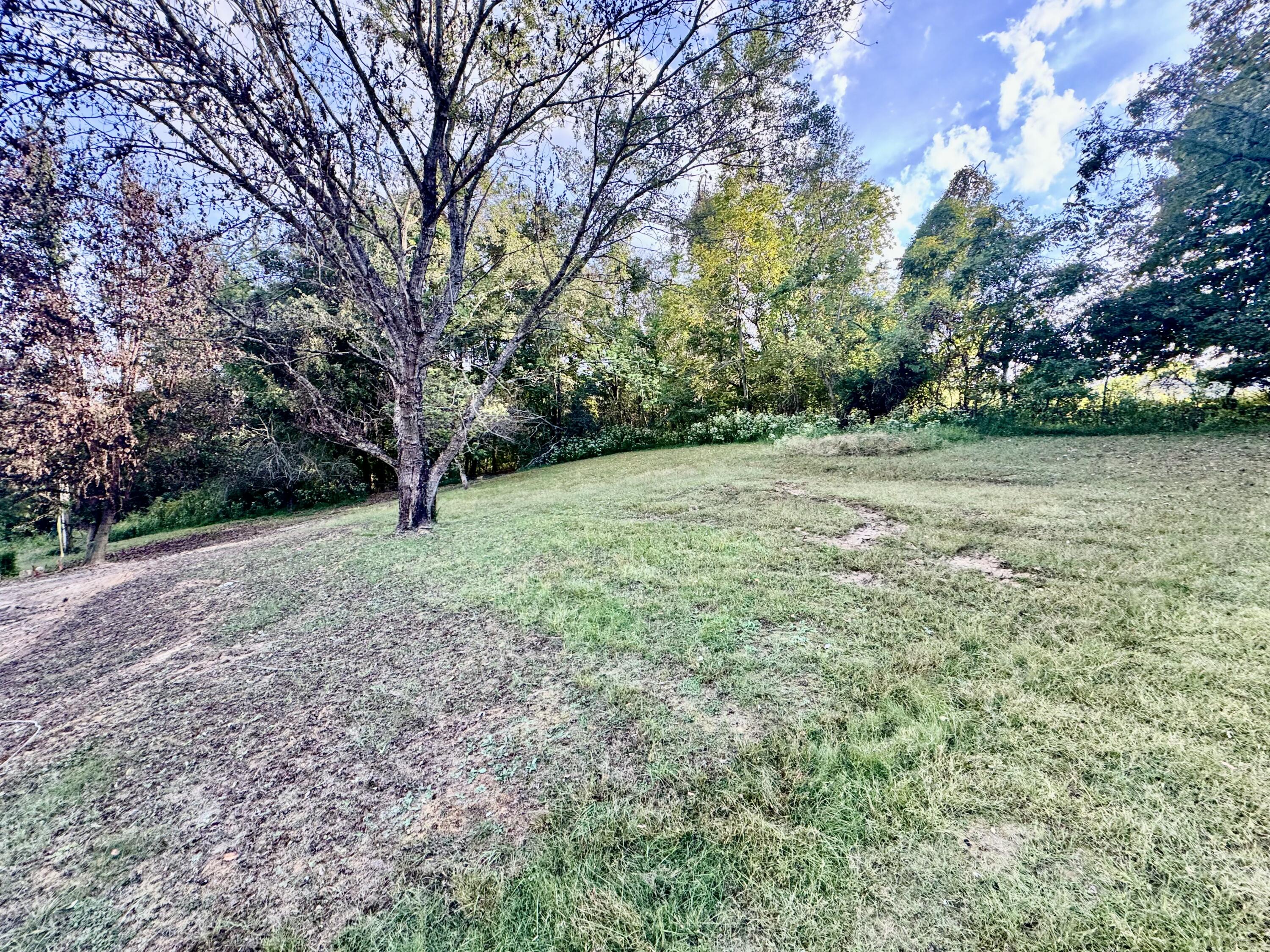 314 Bear Run Road Property Photo 19