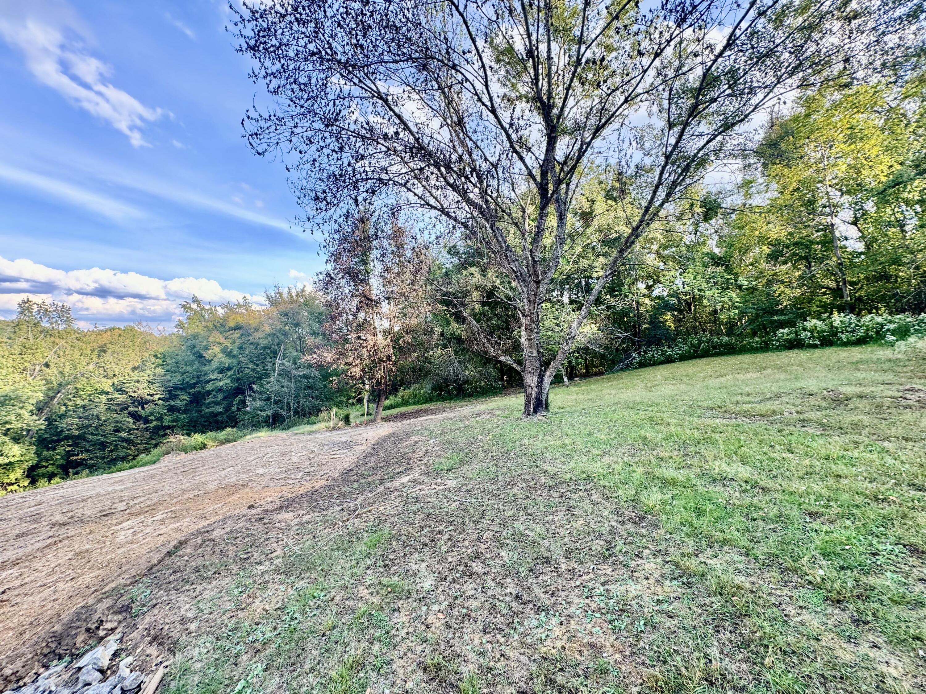314 Bear Run Road Property Photo 20