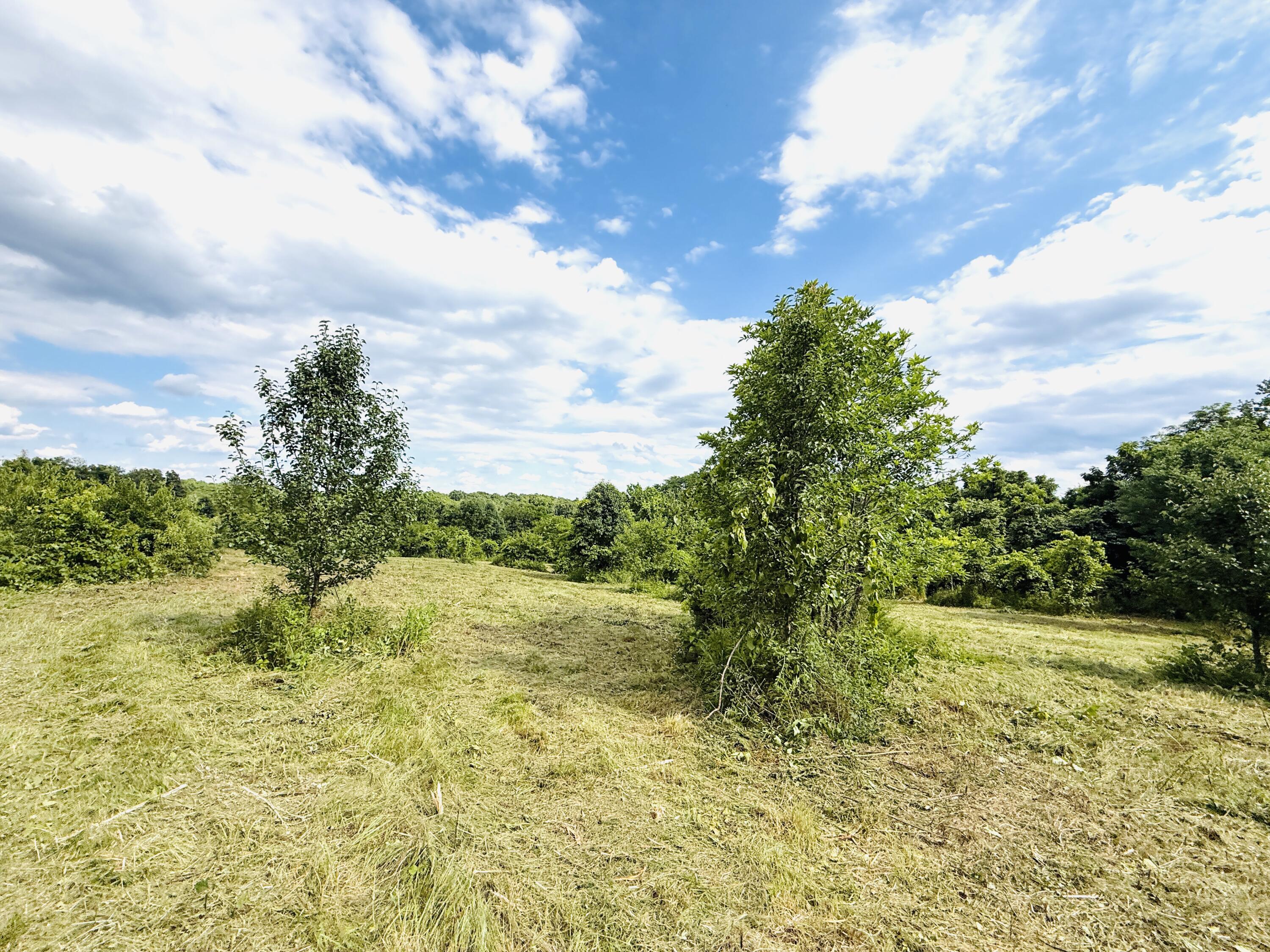 729 Oakland Lane Property Photo 32