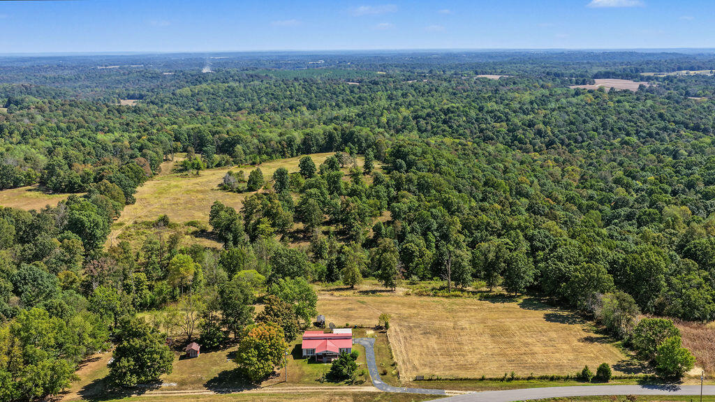 15374 Mount Carmel-hawkins Road Property Photo 17