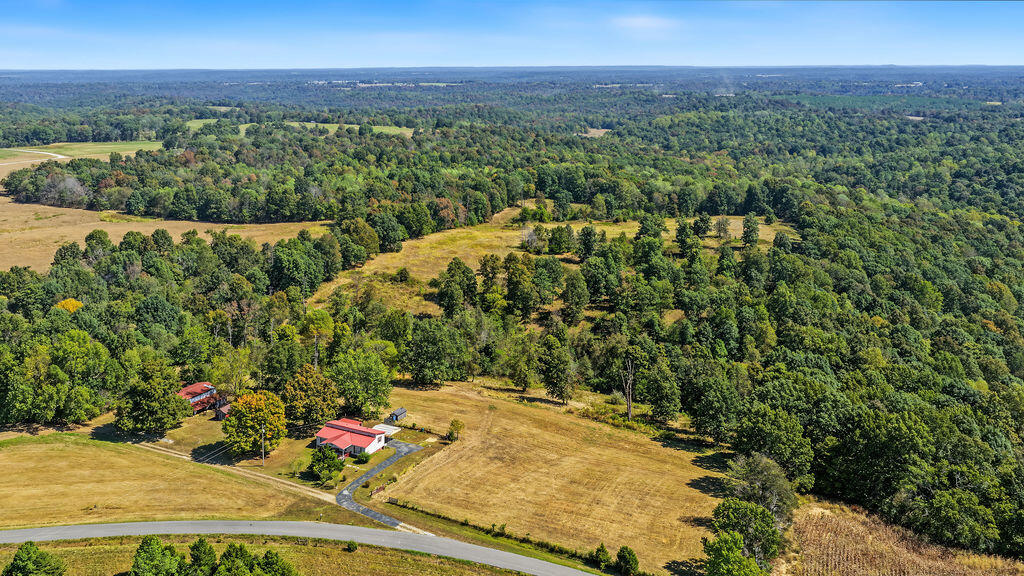 15374 Mount Carmel-hawkins Road Property Photo 18