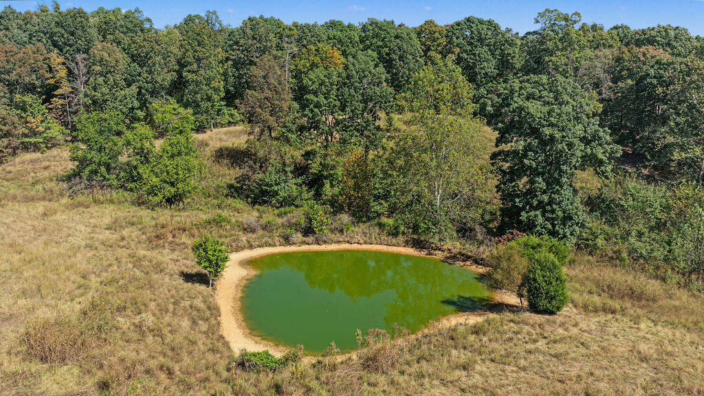 15374 Mount Carmel-hawkins Road Property Photo 21