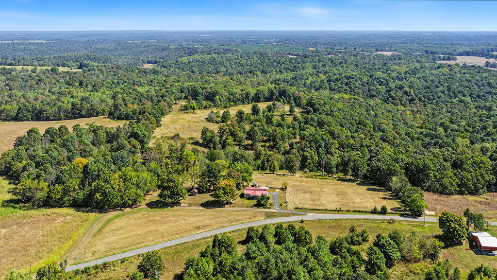 15374 Mount Carmel-hawkins Road Property Photo 23