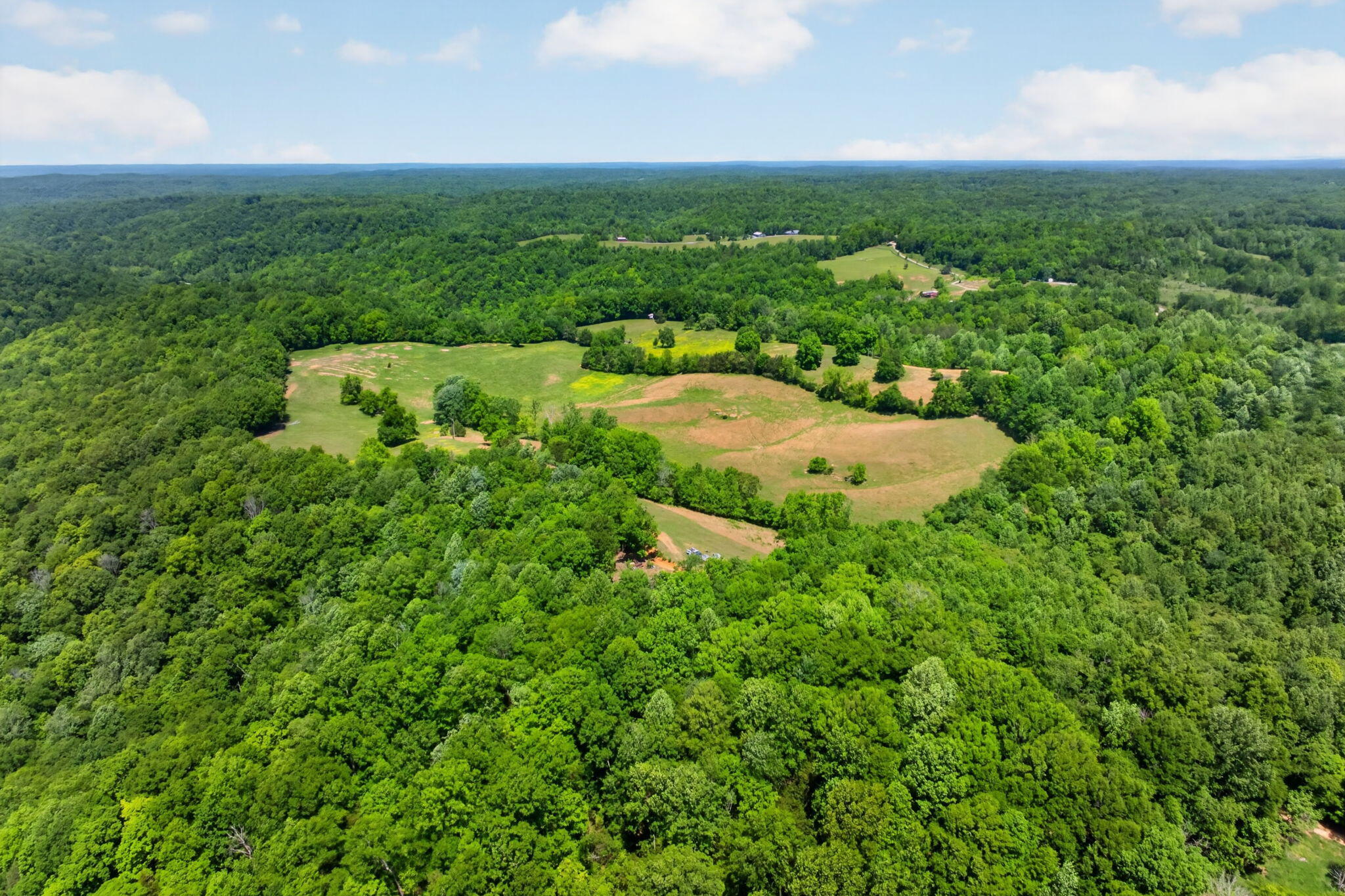 127.57 Ac Homer Watson Road Property Photo 2