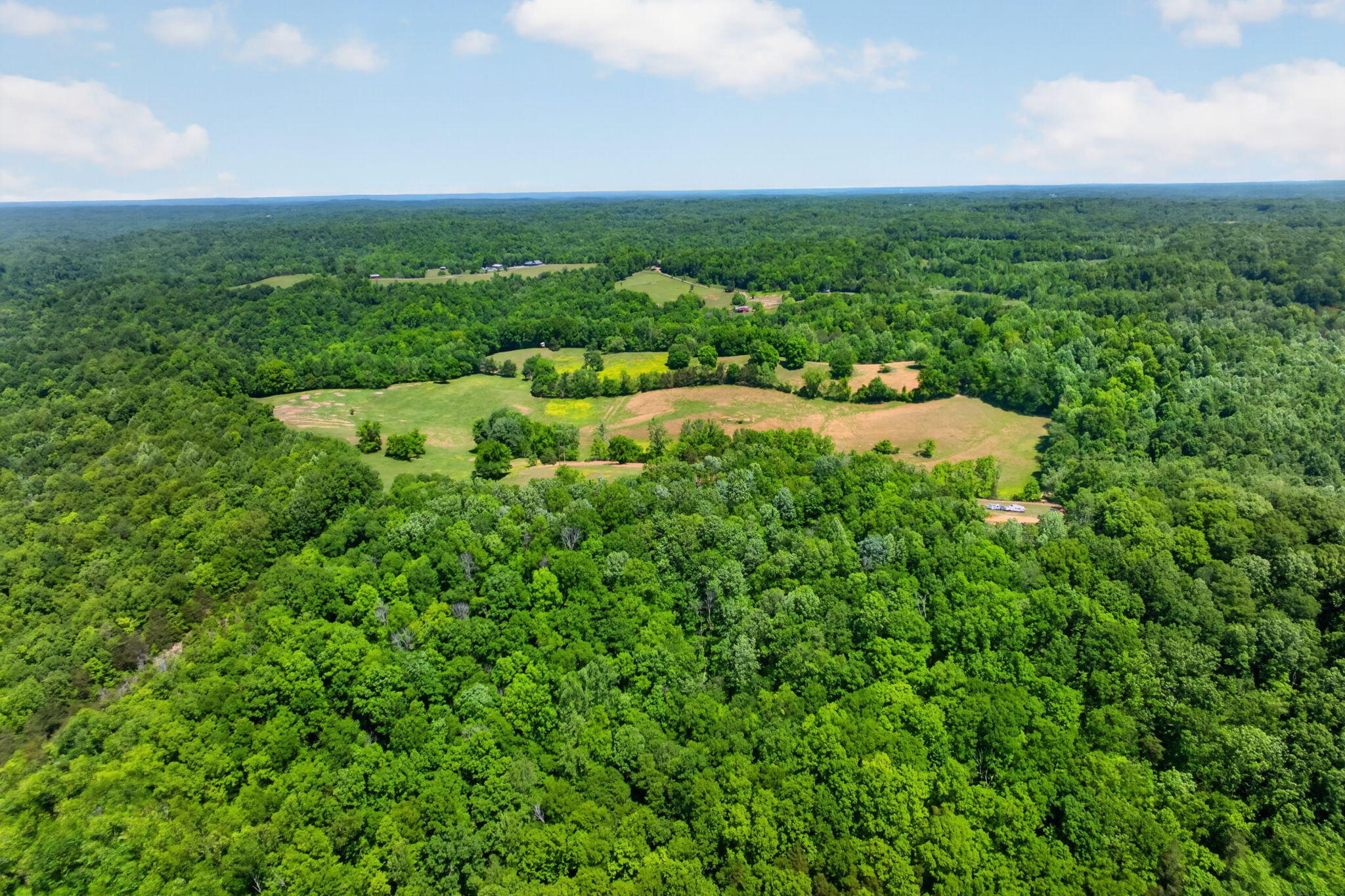 127.57 Ac Homer Watson Road Property Photo 3