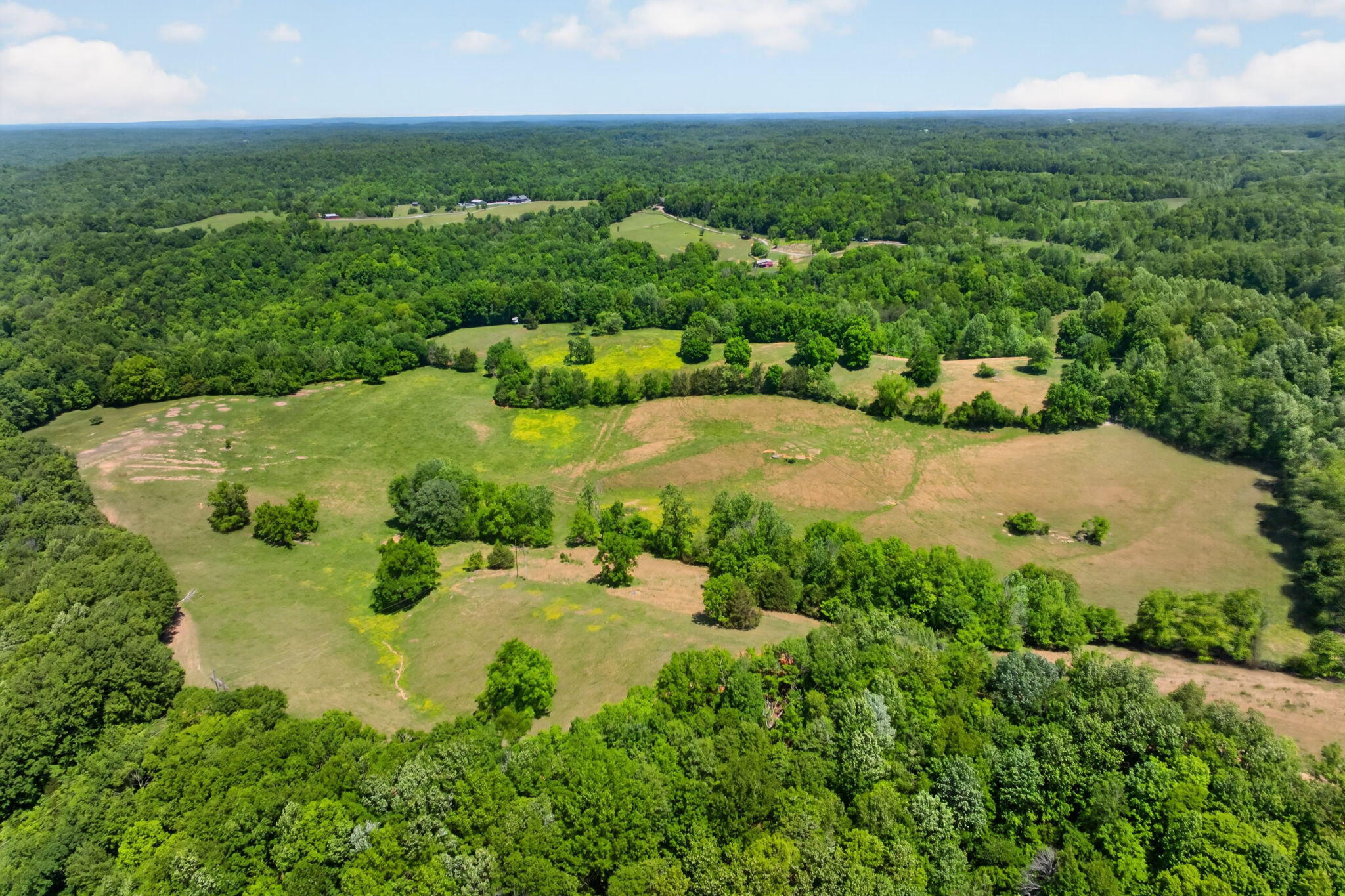 127.57 Ac Homer Watson Road Property Photo 4