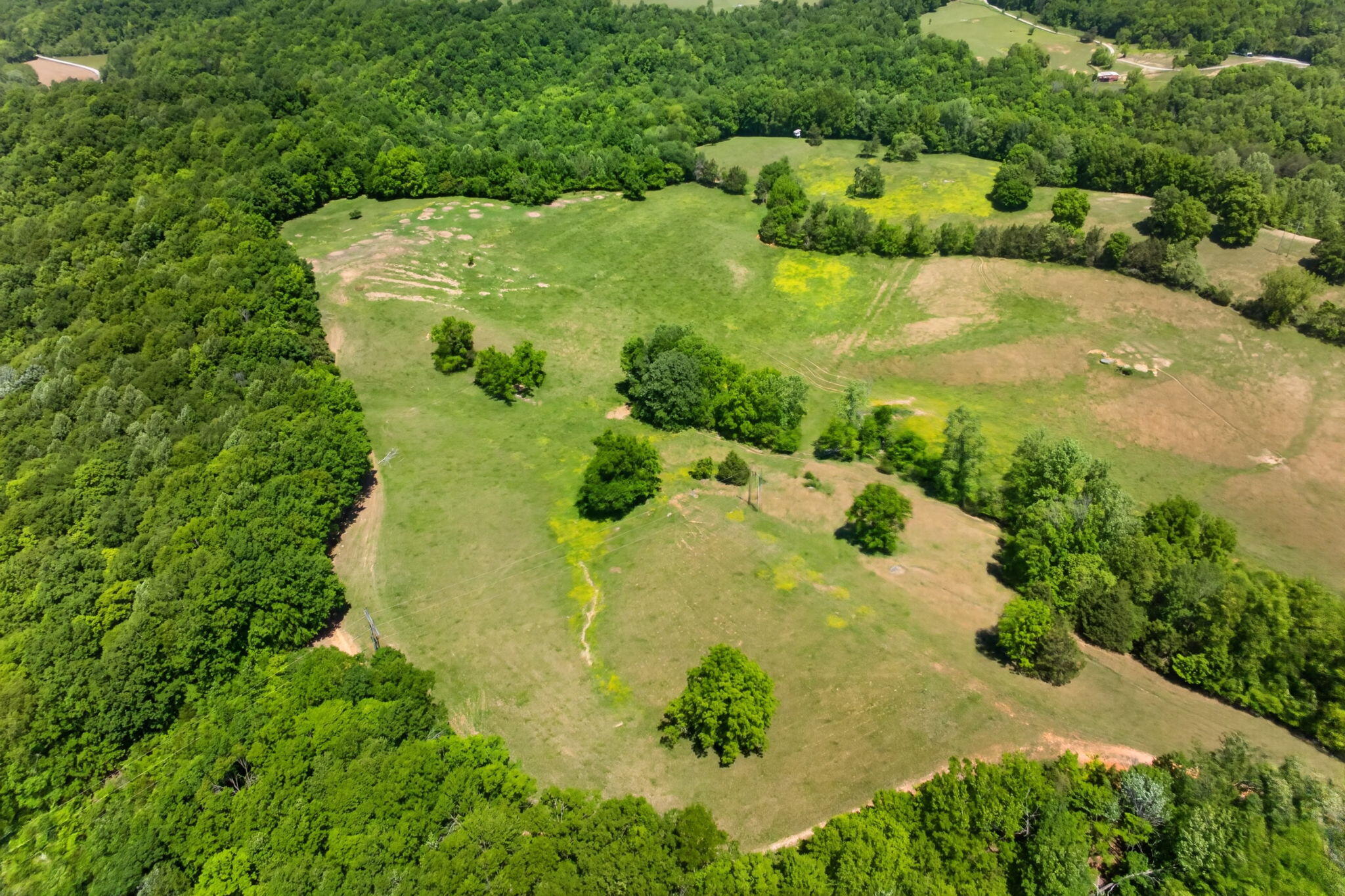 127.57 Ac Homer Watson Road Property Photo 5