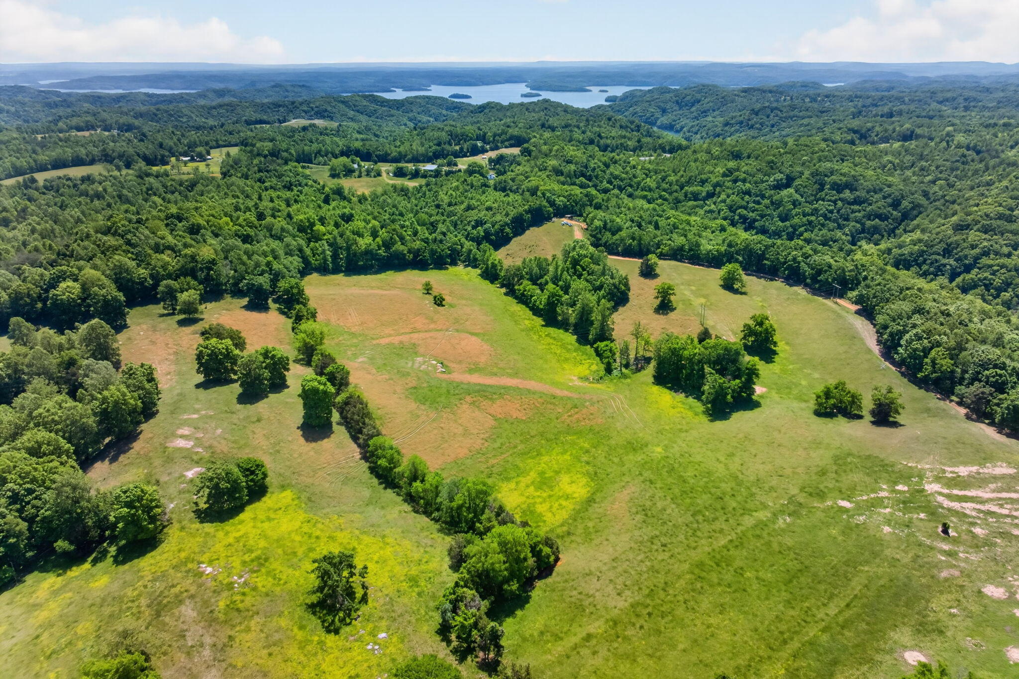 127.57 Ac Homer Watson Road Property Photo 6
