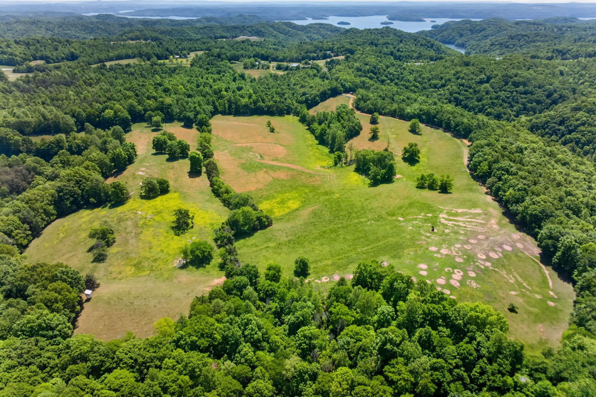 127.57 Ac Homer Watson Road Property Photo 8