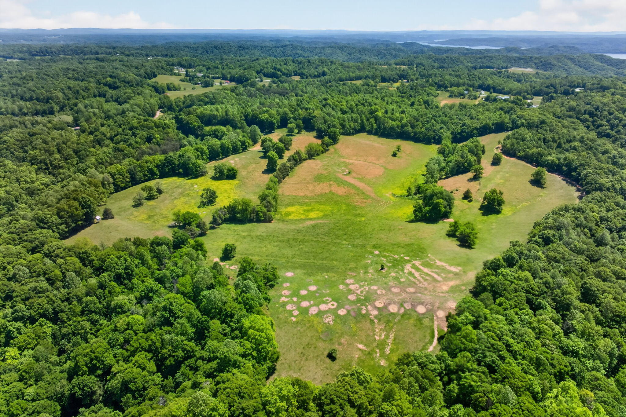 127.57 Ac Homer Watson Road Property Photo 9