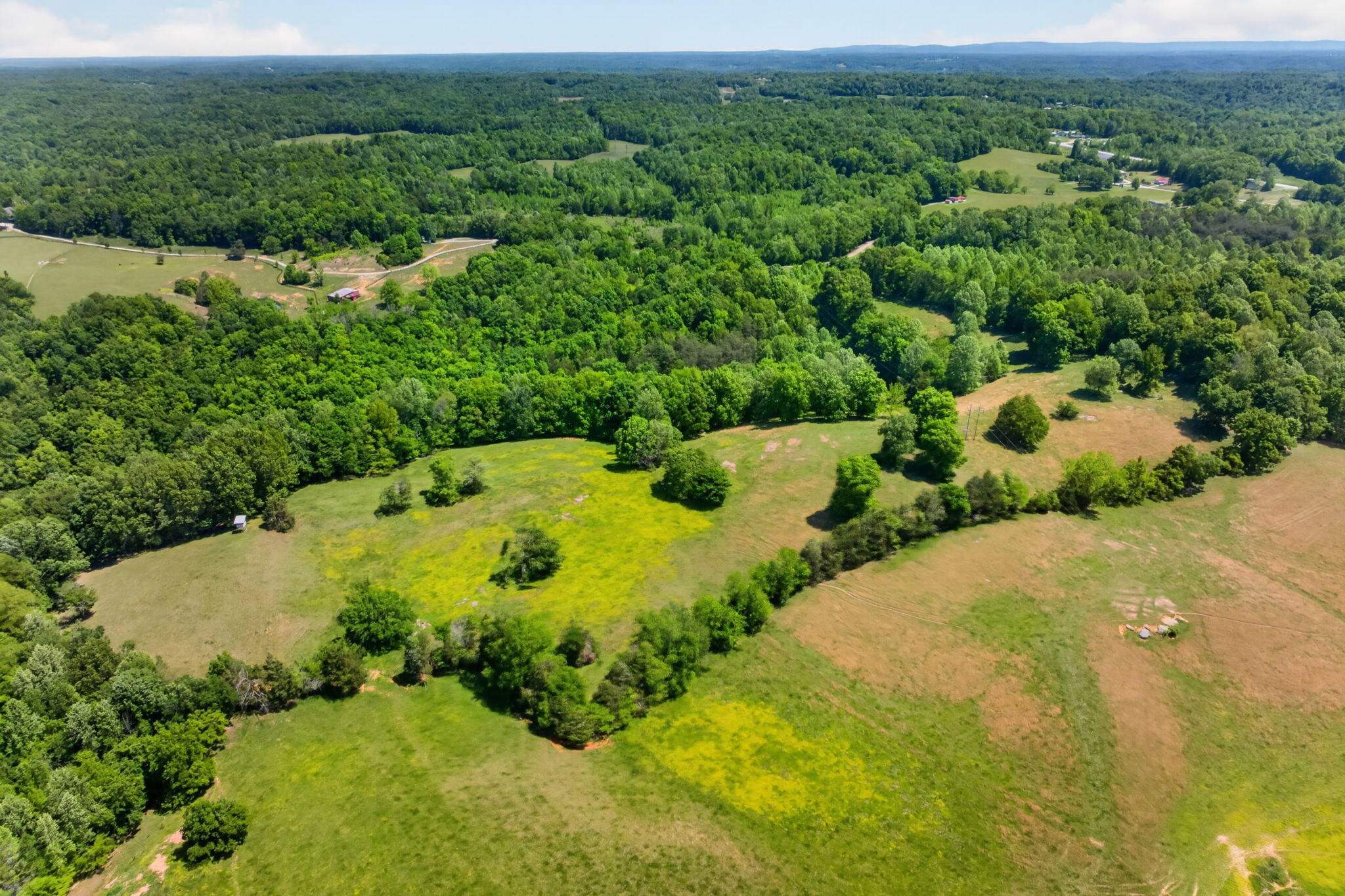 127.57 Ac Homer Watson Road Property Photo 10