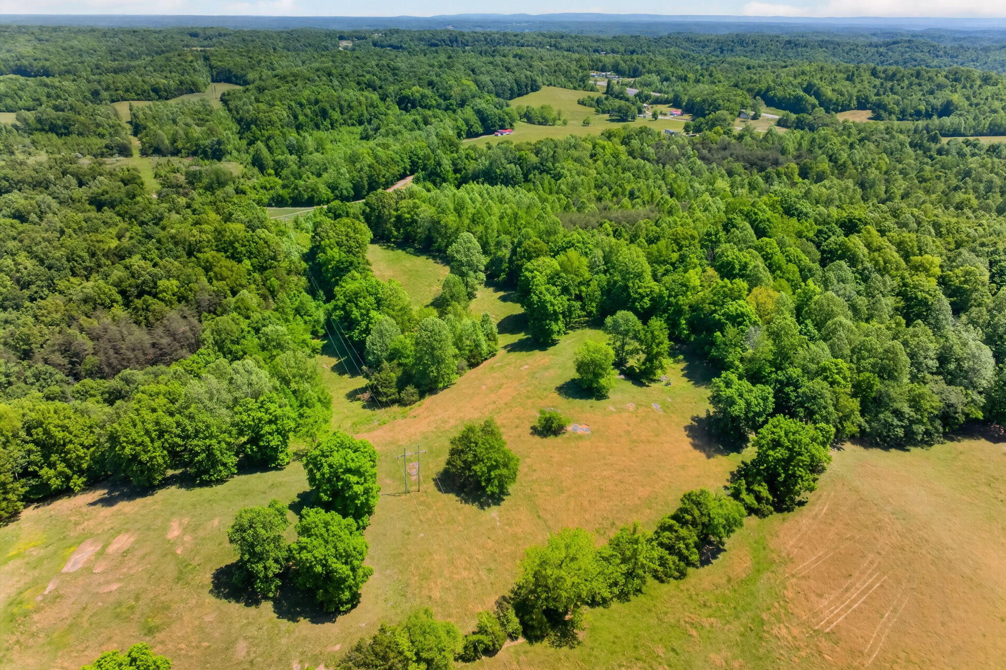 127.57 Ac Homer Watson Road Property Photo 11